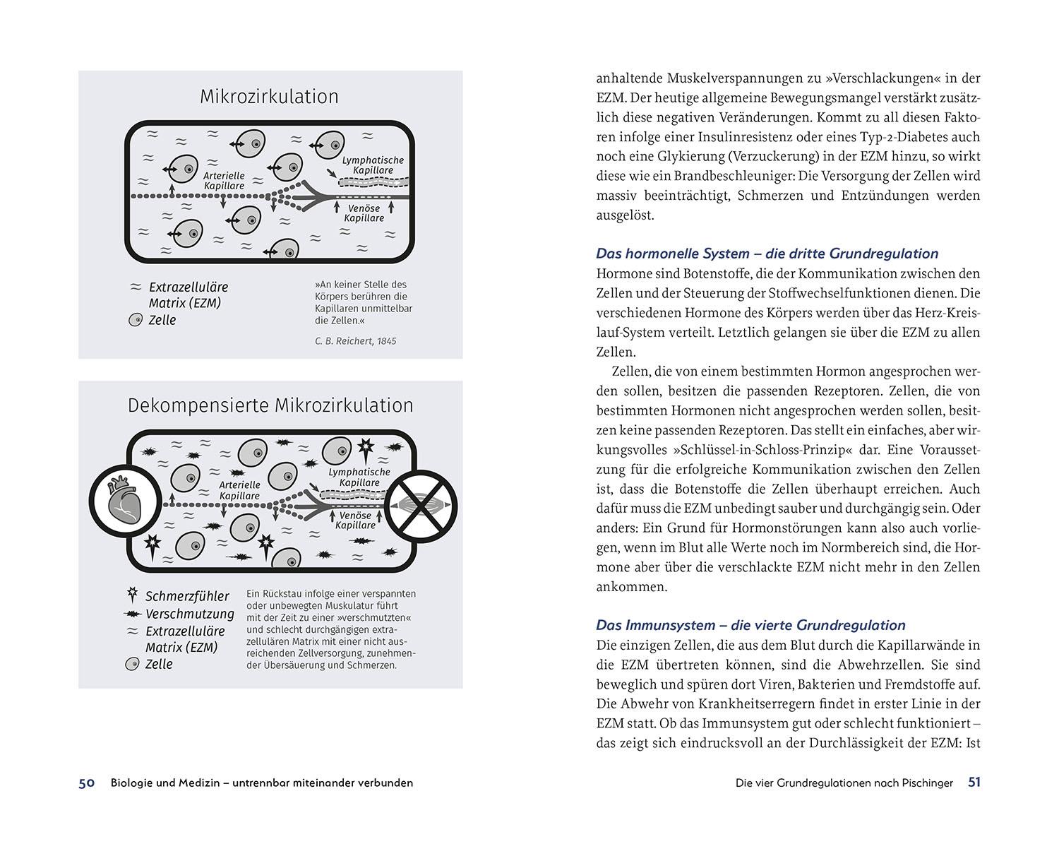 Beispielinhalt (Bild) Raus aus der Insulin-Falle