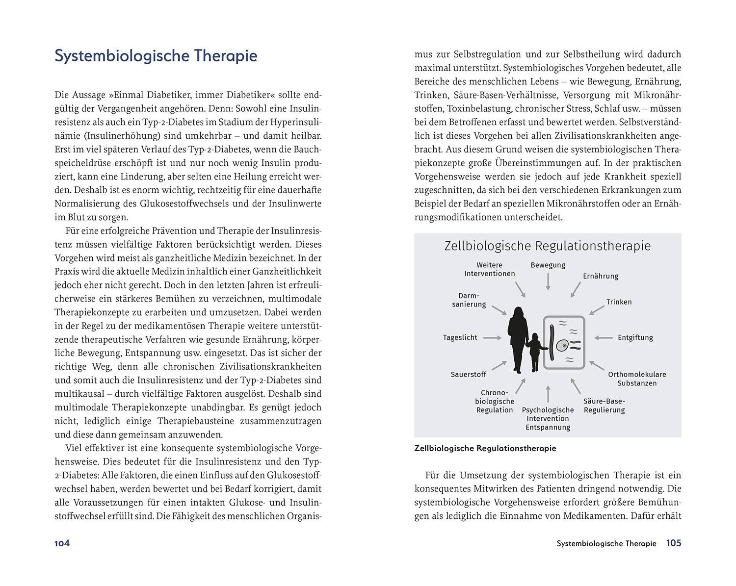 Beispielinhalt (Bild) Raus aus der Insulin-Falle