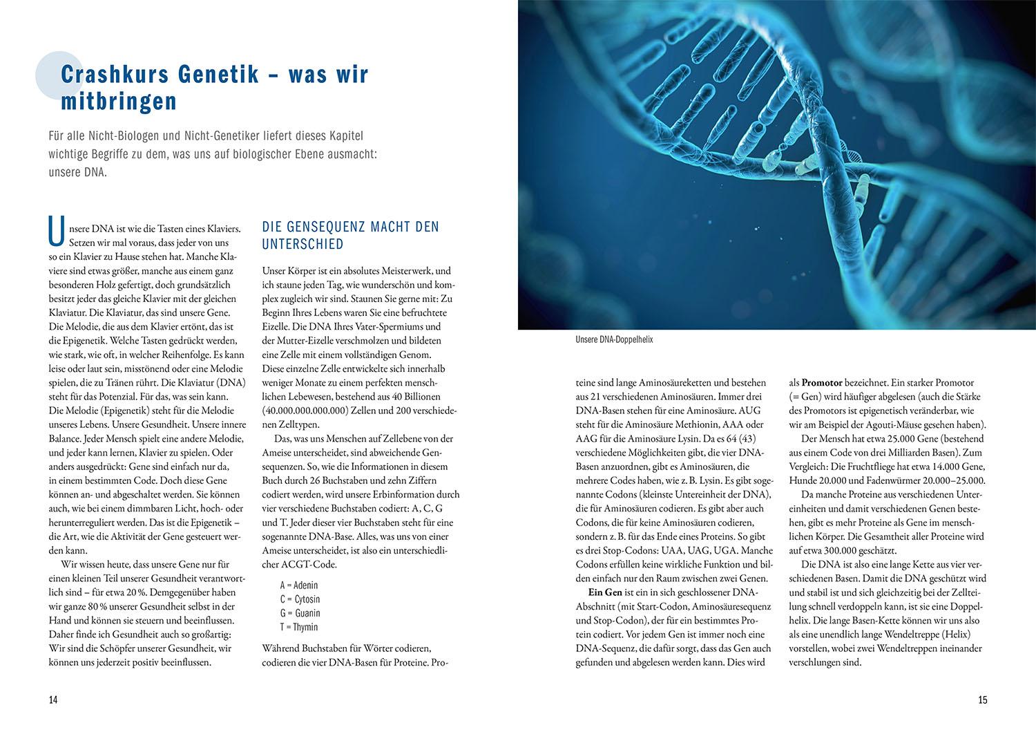 Beispielinhalt (Bild) Der Epigenetik-Code