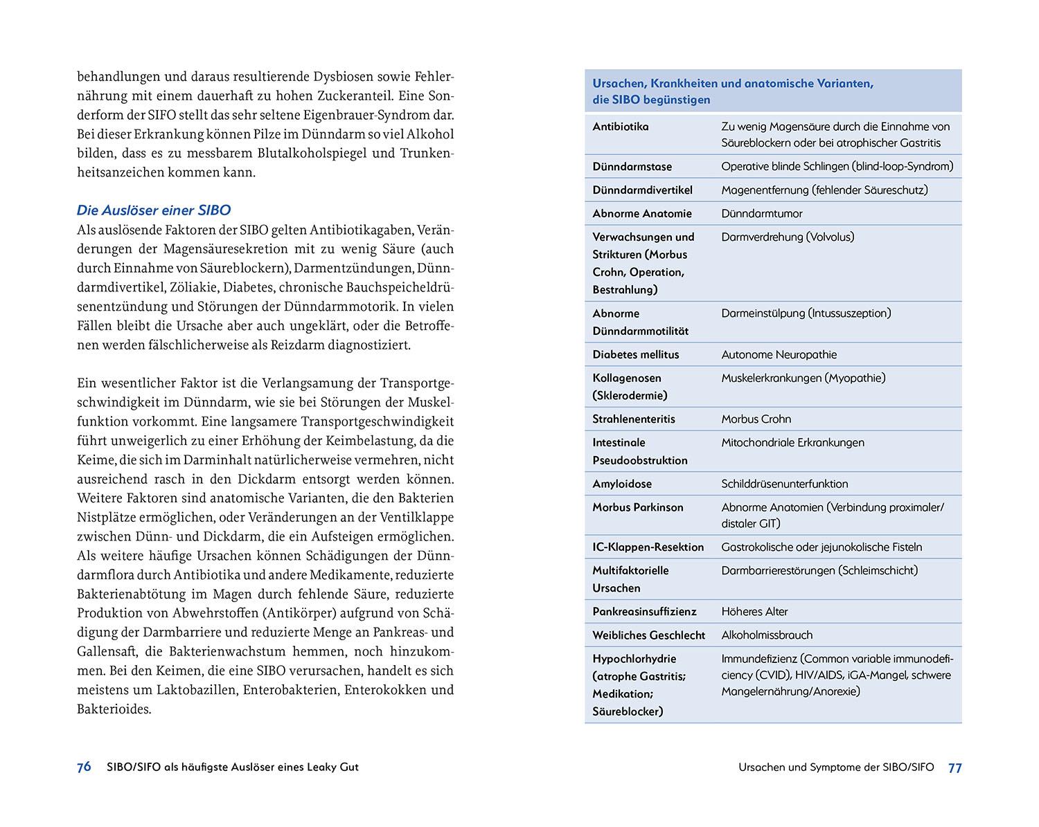 Beispielinhalt (Bild) Leaky Gut und SIBO