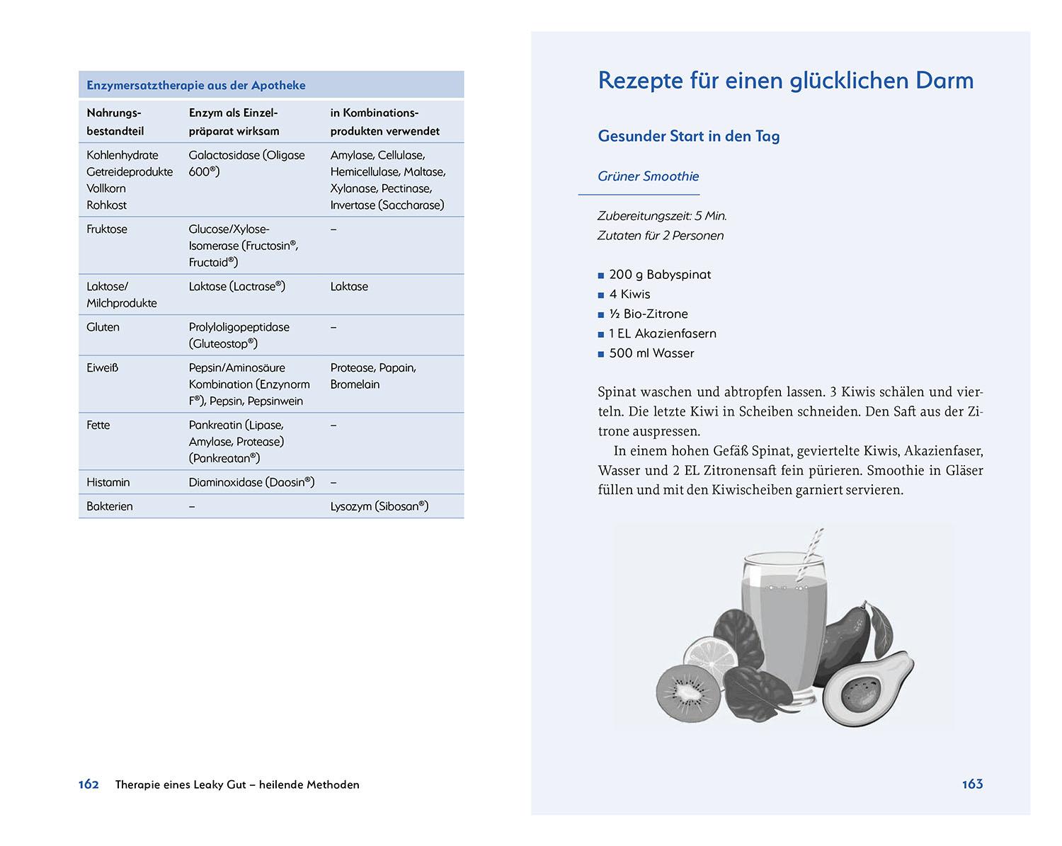 Beispielinhalt (Bild) Leaky Gut und SIBO