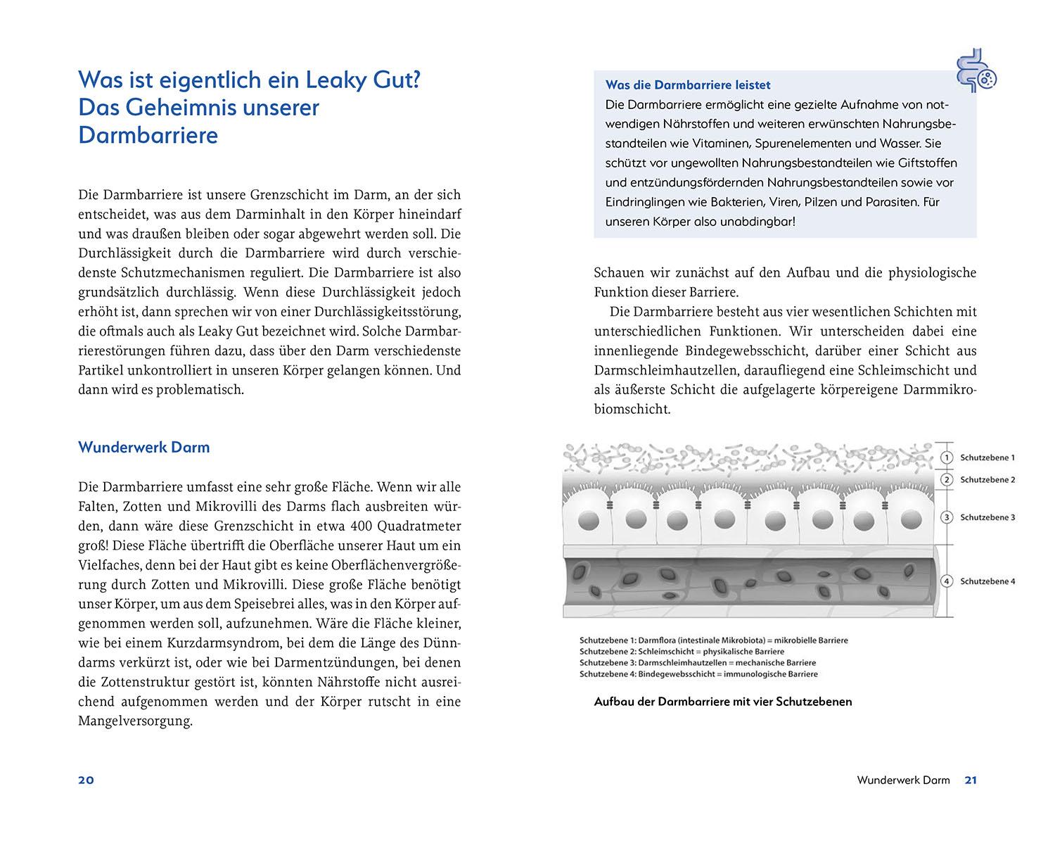 Beispielinhalt (Bild) Leaky Gut und SIBO