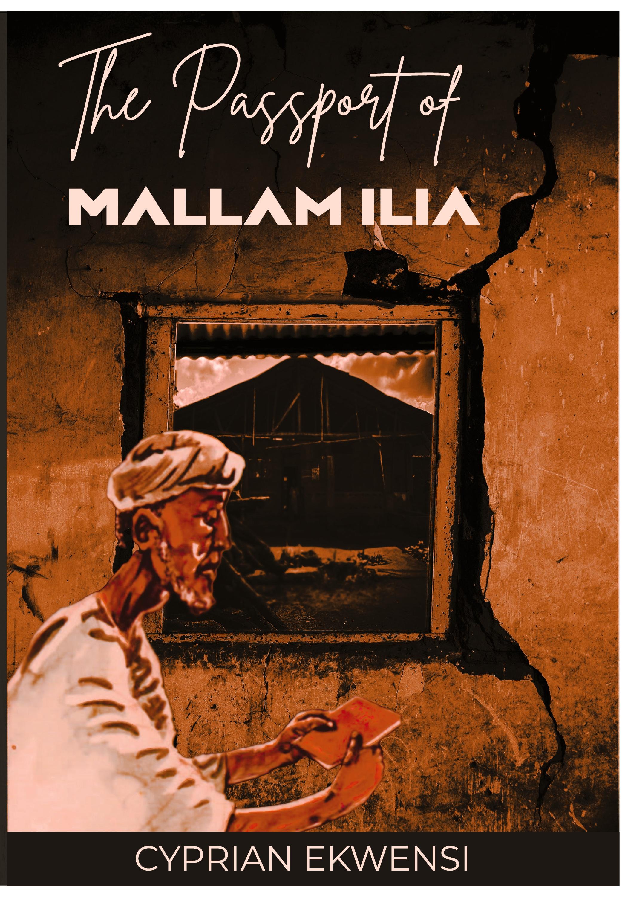 Vorderes Coverbild The Passport of Mallam Ilia