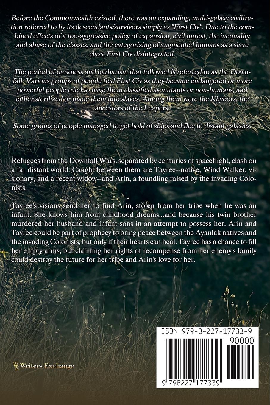 Rückseitencover Wind Walker