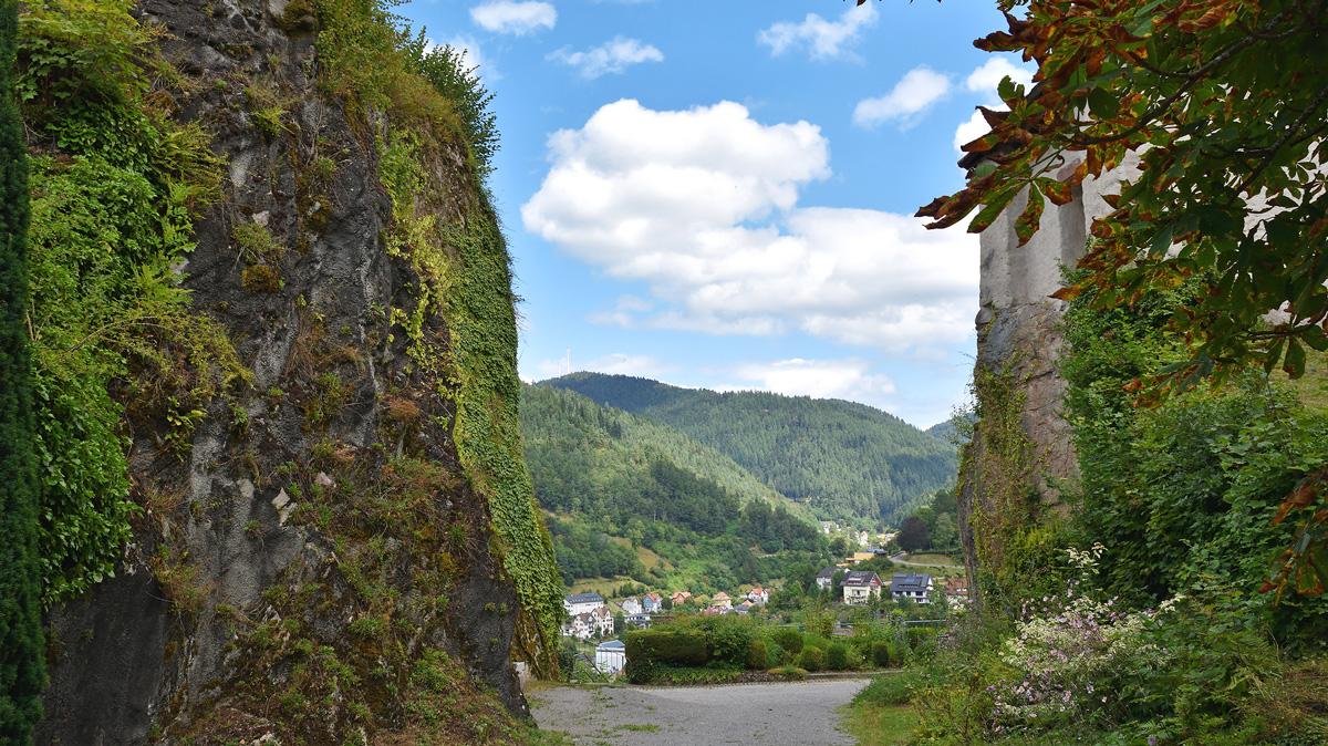 Beispielinhalt (Bild) Bierwandern Schwarzwald