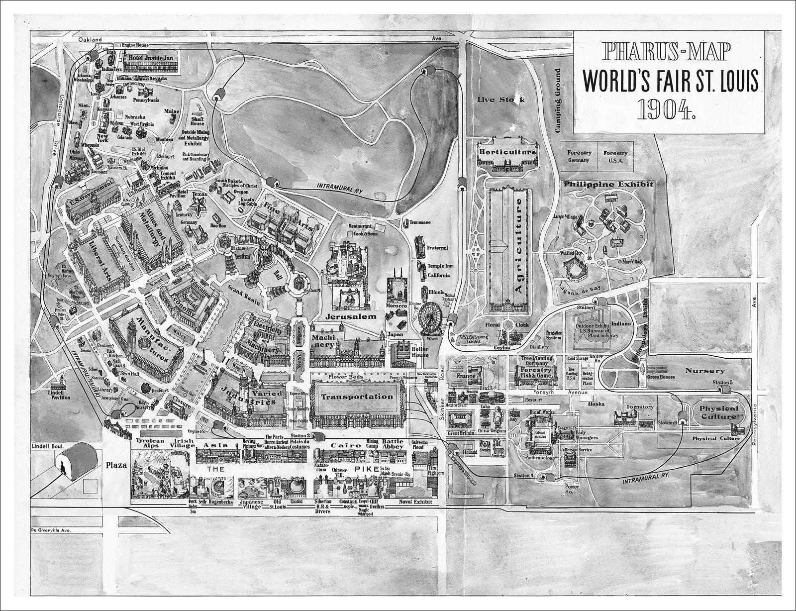 Beispielinhalt (Bild) Wild Song