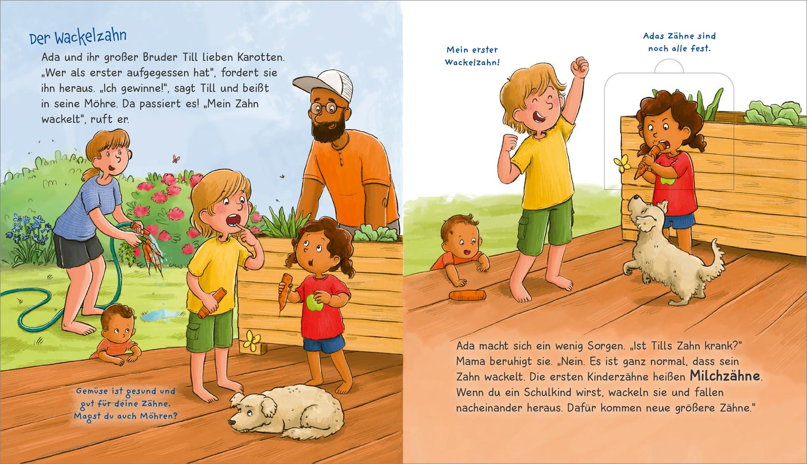 Beispielinhalt (Bild) WAS IST WAS Meine Welt Band 18 Blitzeblanke Zähne!