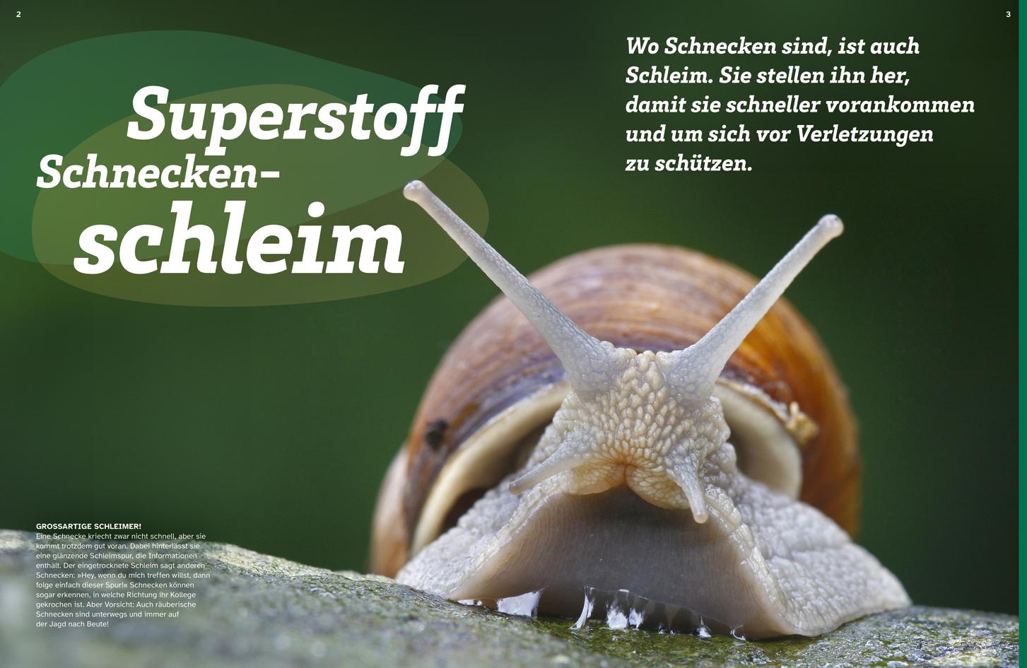 Beispielinhalt (Bild) WAS IST WAS Schleim. Eklig? Nein, genial!