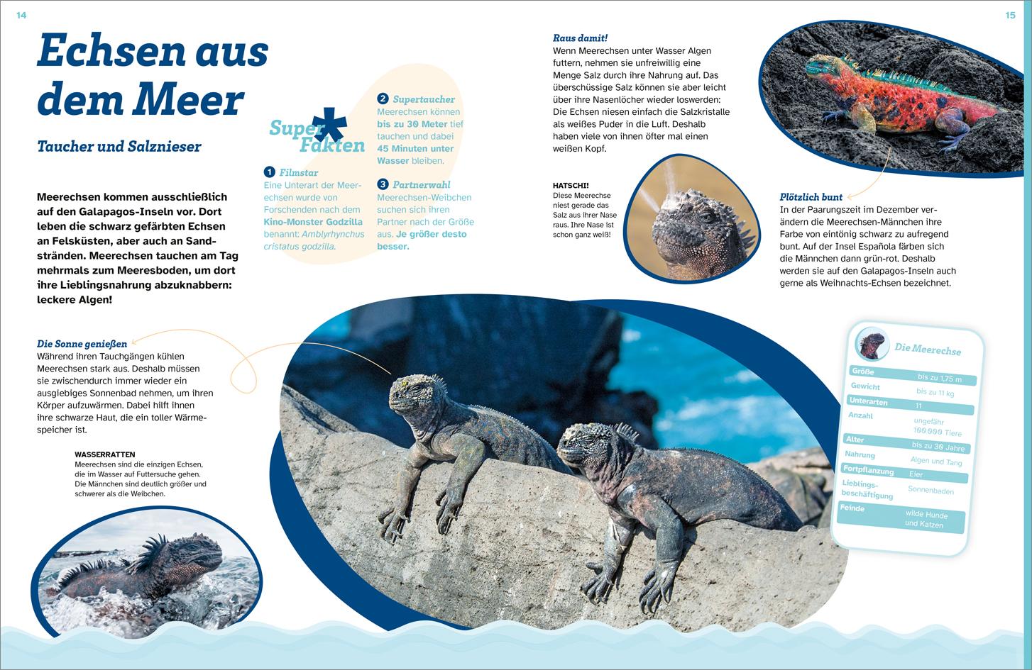 Beispielinhalt (Bild) WAS IST WAS Echsen. Kleine Drachen hautnah