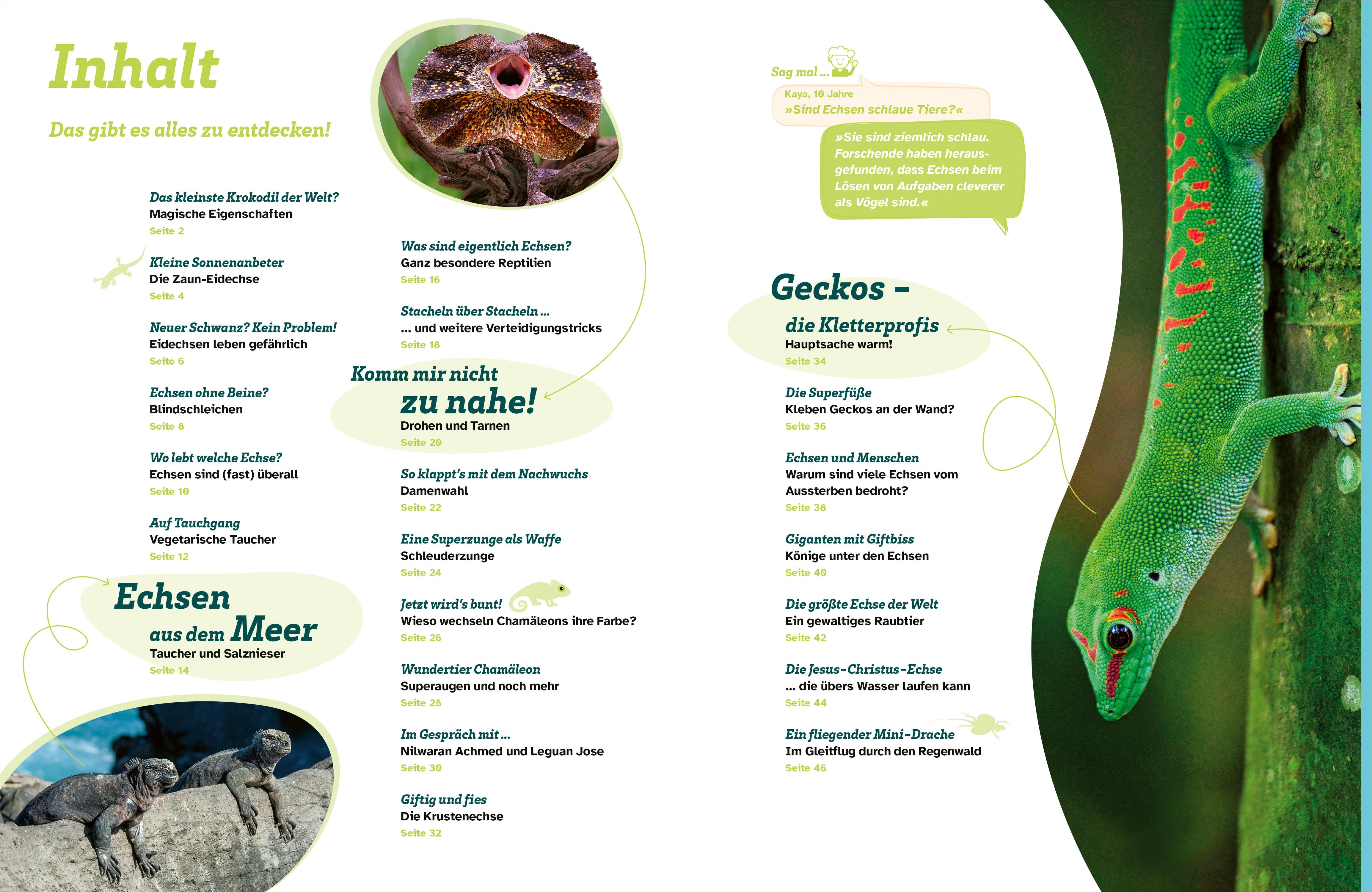 Beispielinhalt (Bild) WAS IST WAS Echsen. Kleine Drachen hautnah