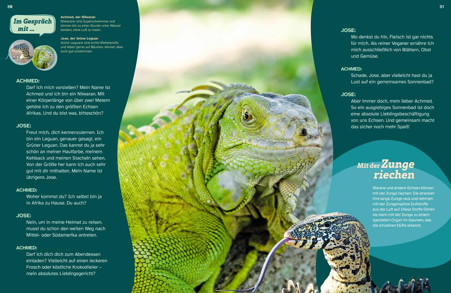 Beispielinhalt (Bild) WAS IST WAS Echsen. Kleine Drachen hautnah