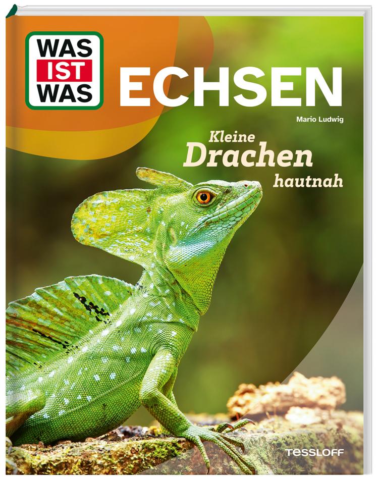 Vorderes Coverbild WAS IST WAS Echsen. Kleine Drachen hautnah