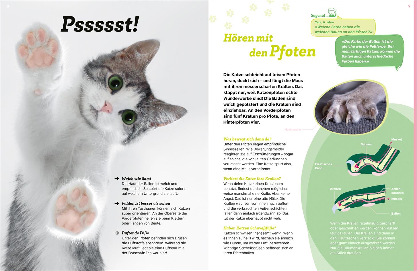 Beispielinhalt (Bild) WAS IST WAS Katzen. Eigenwillige Schnurrer