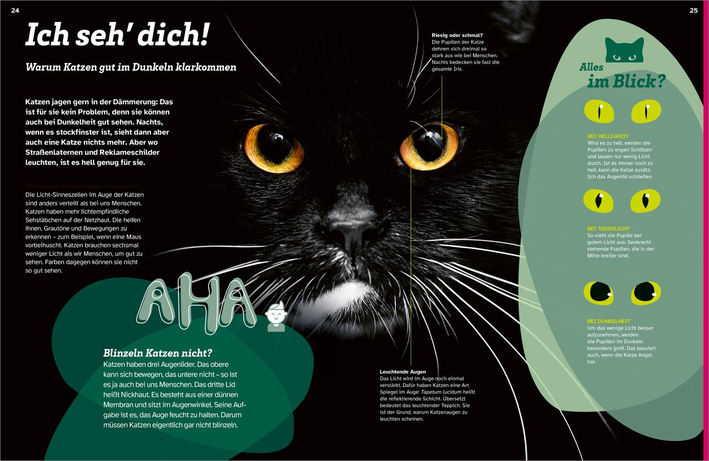 Beispielinhalt (Bild) WAS IST WAS Katzen. Eigenwillige Schnurrer