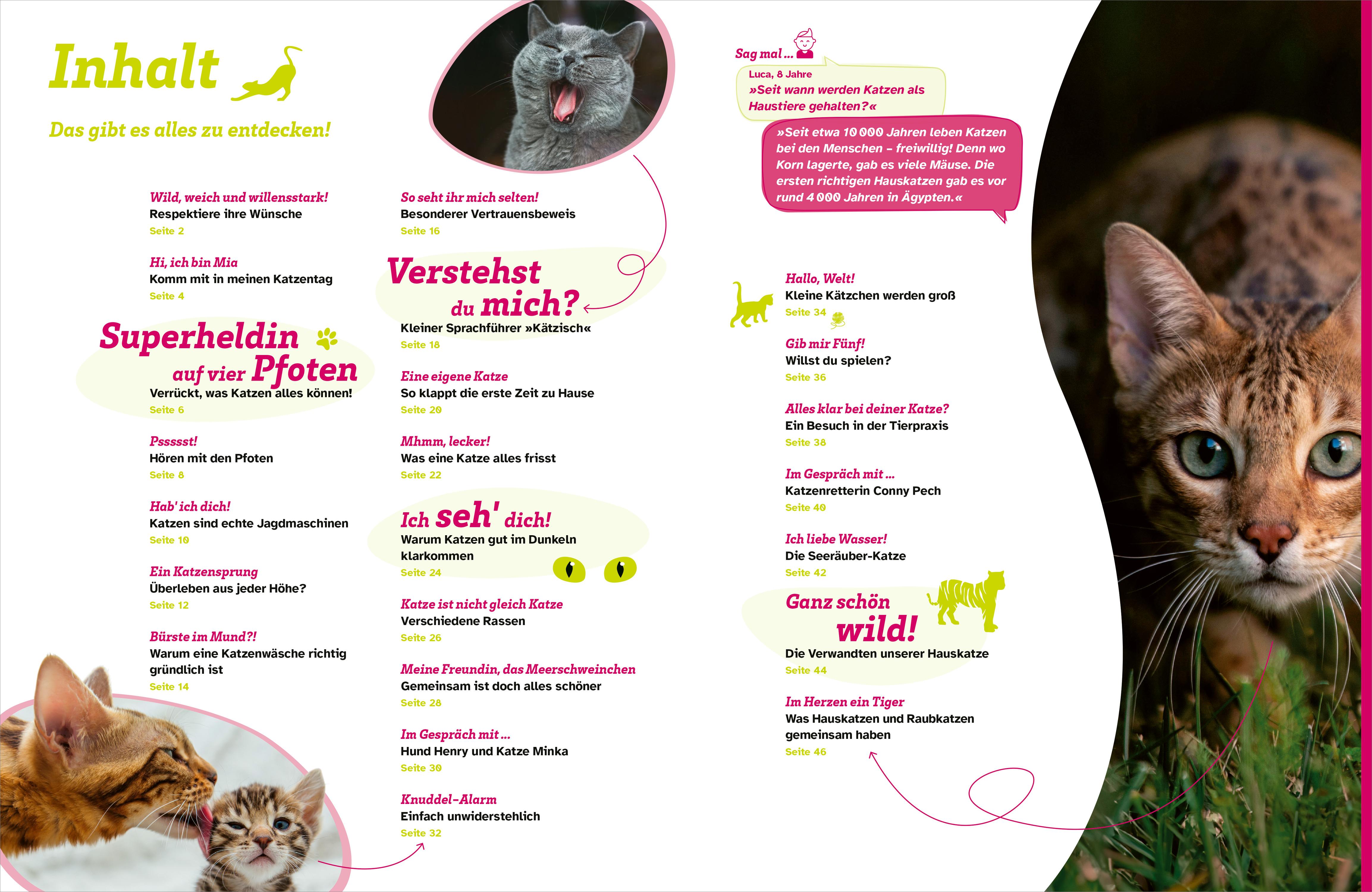 Beispielinhalt (Bild) WAS IST WAS Katzen. Eigenwillige Schnurrer
