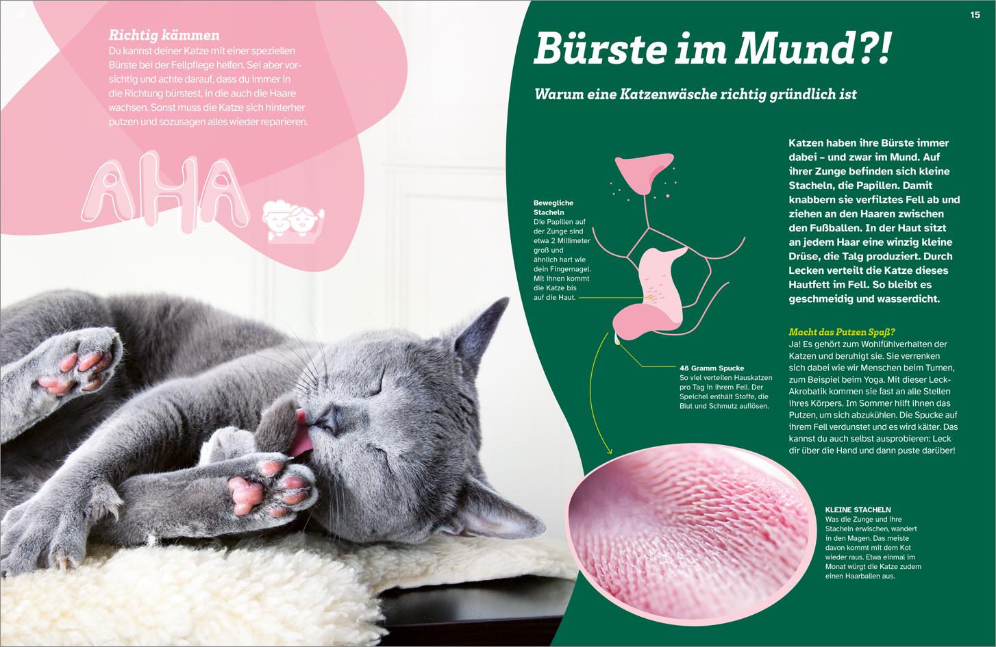 Beispielinhalt (Bild) WAS IST WAS Katzen. Eigenwillige Schnurrer