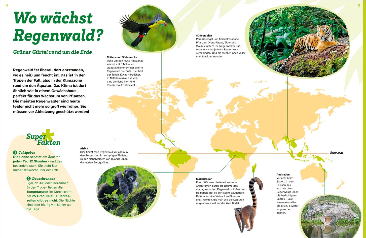 Beispielinhalt (Bild) WAS IST WAS Regenwald. Wilde grüne Welt