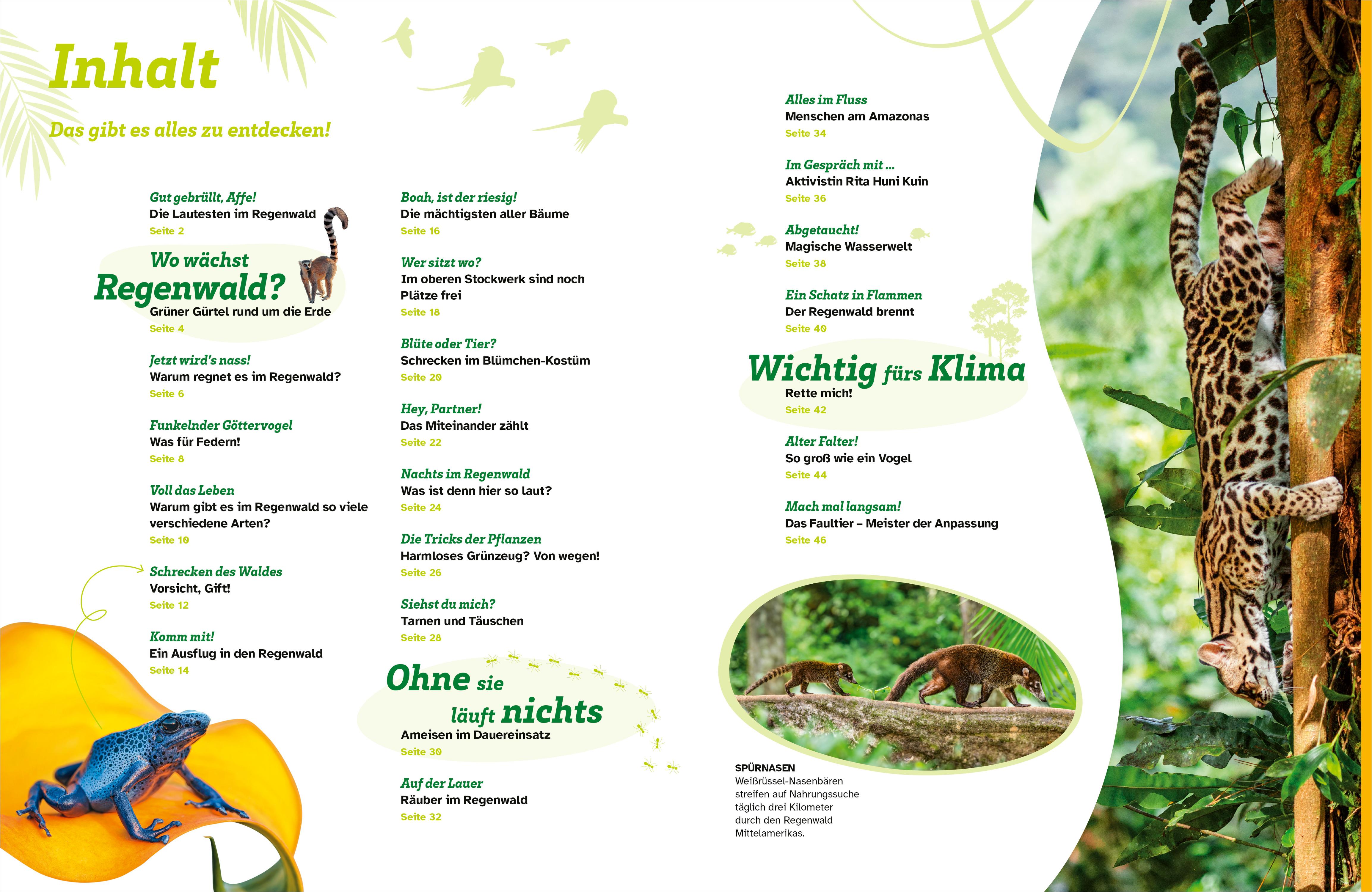 Beispielinhalt (Bild) WAS IST WAS Regenwald. Wilde grüne Welt