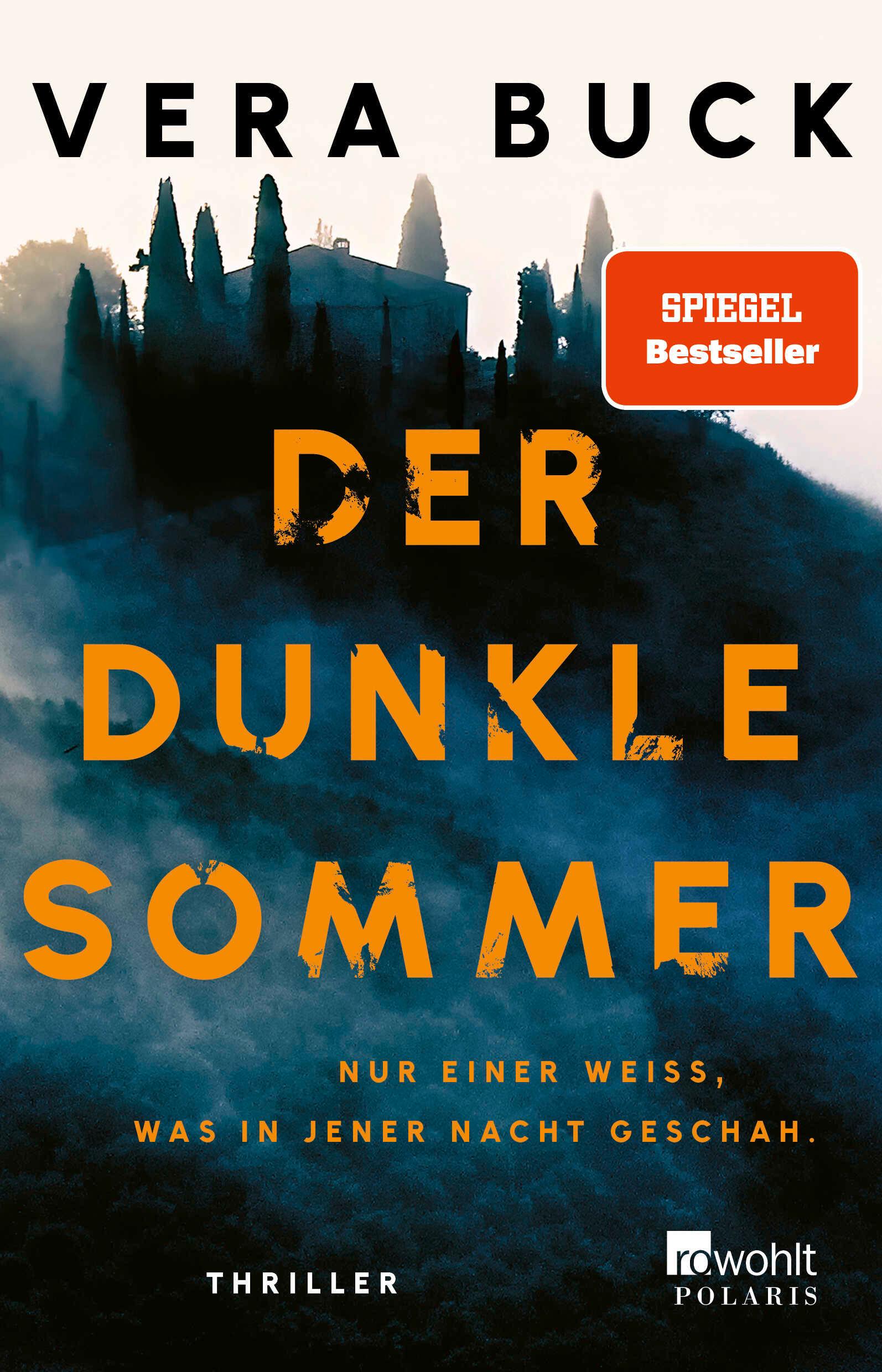 Vorderes Coverbild Der dunkle Sommer
