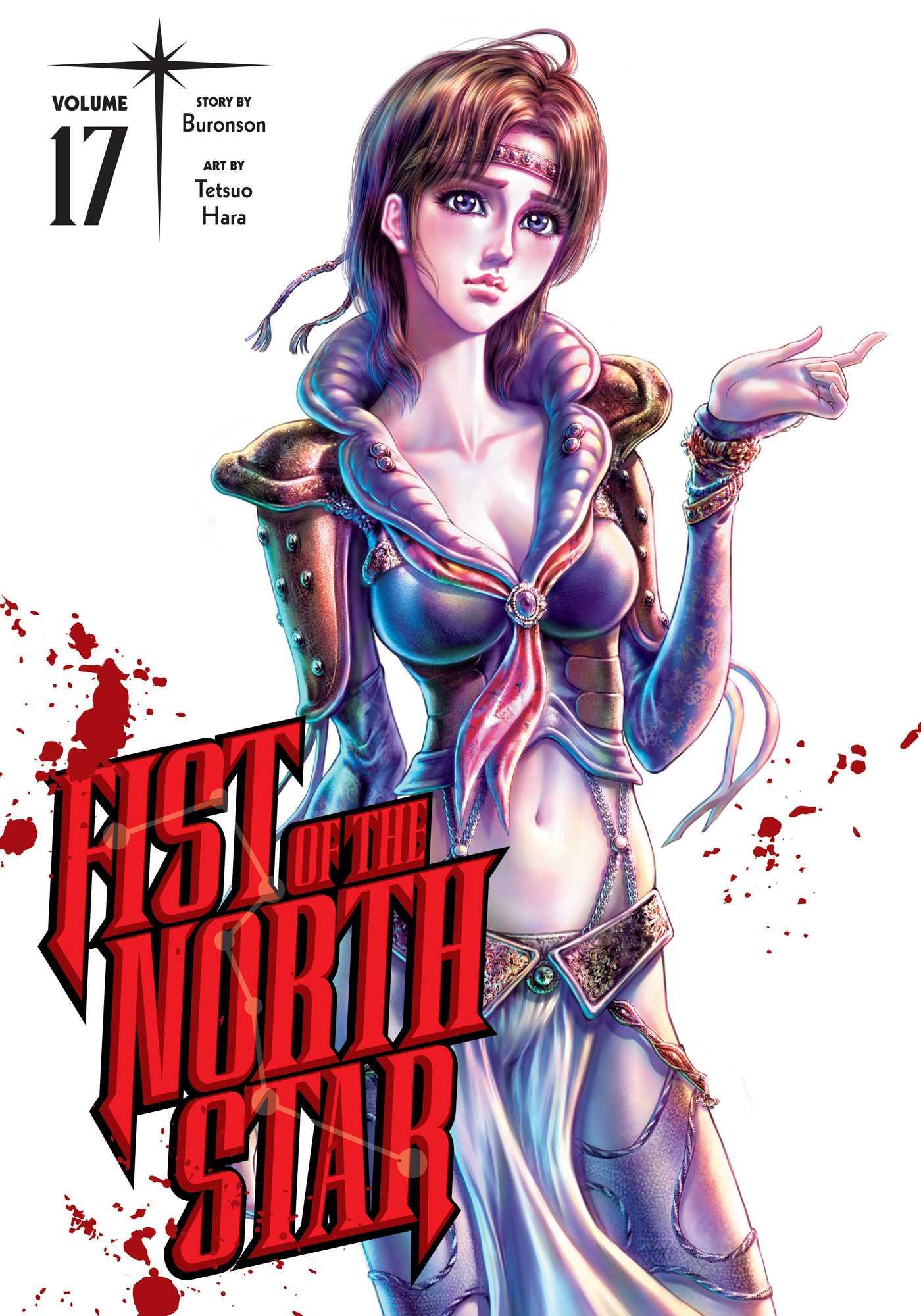 Vorderes Coverbild Fist of the North Star, Vol. 17