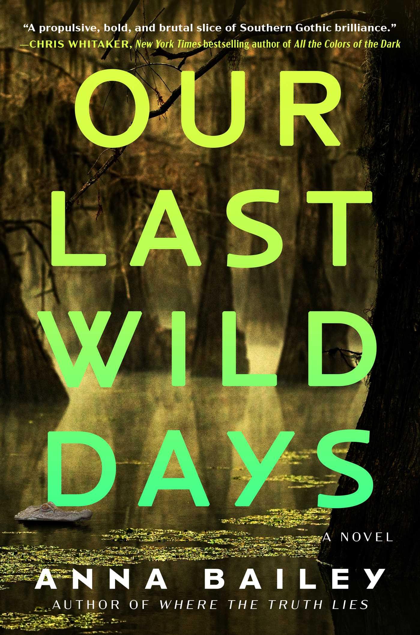 Vorderes Coverbild Our Last Wild Days