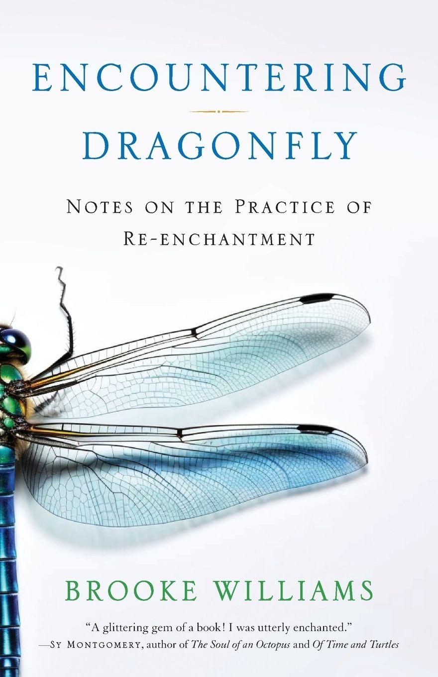 Vorderes Coverbild Encountering Dragonfly