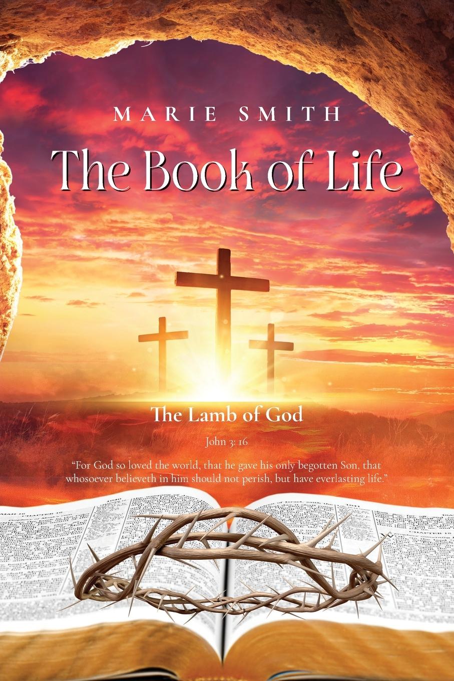 Vorderes Coverbild The Book of Life
