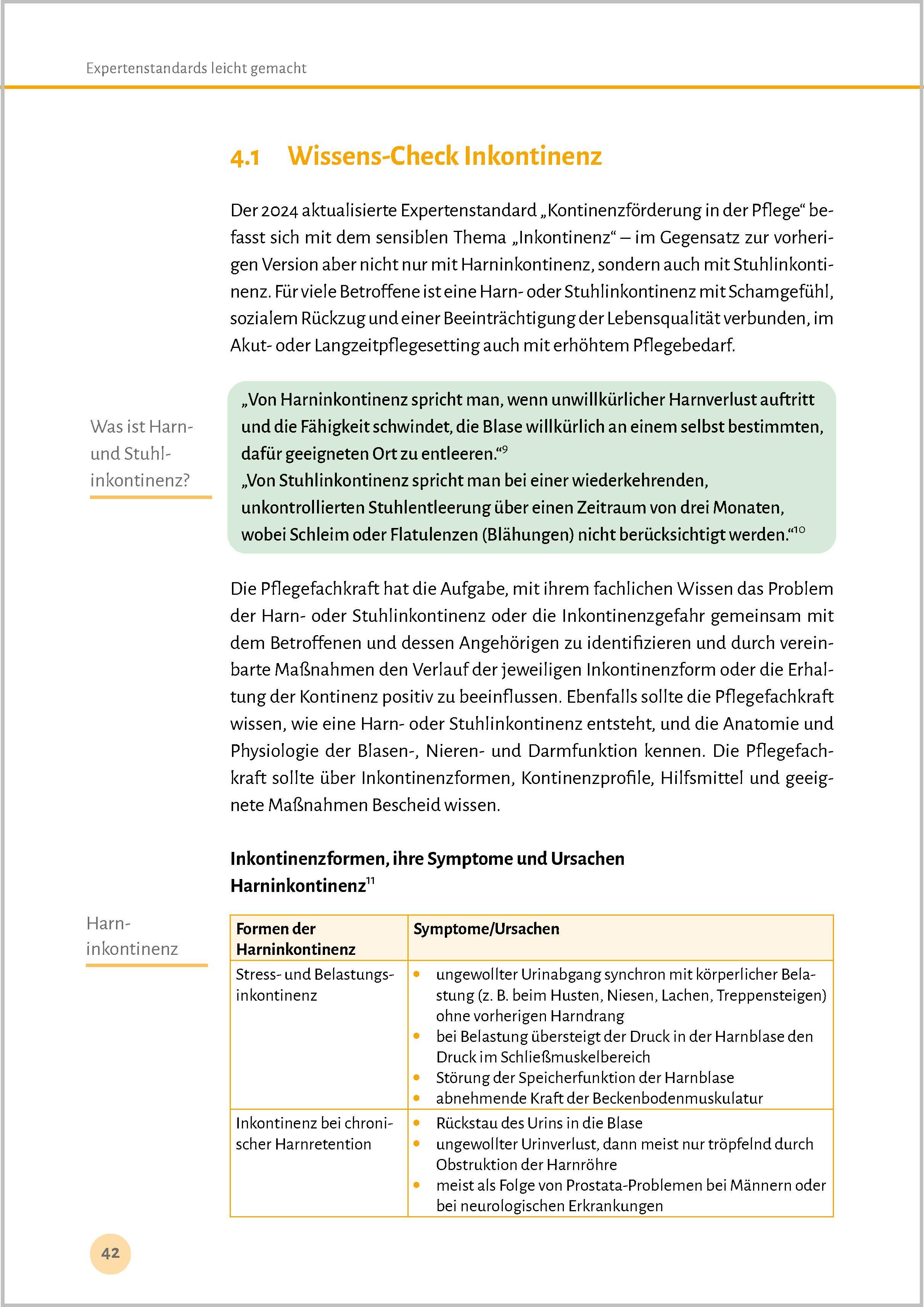 Beispielinhalt (Bild) Expertenstandards leicht gemacht