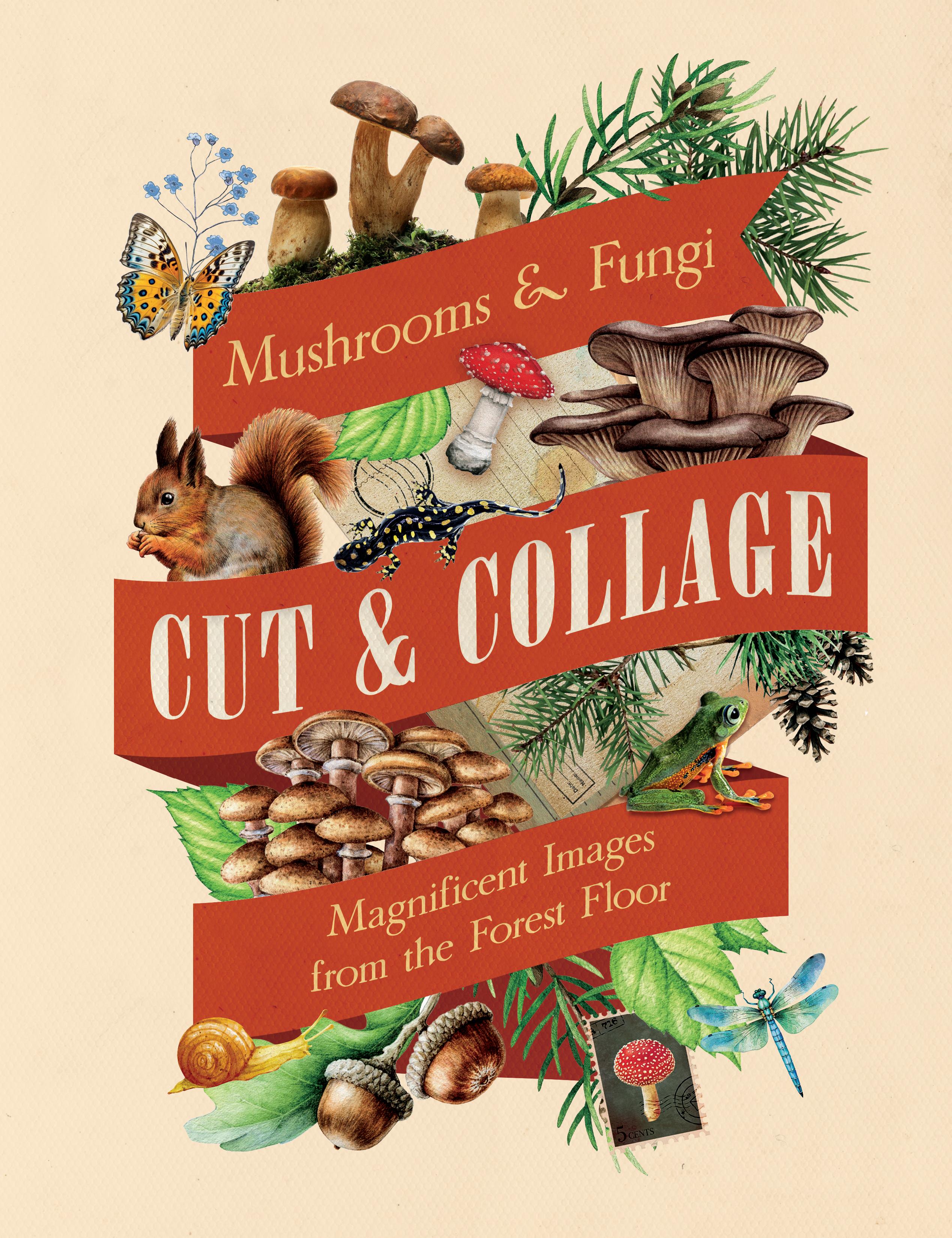 Vorderes Coverbild Cut & Collage Mushrooms and Fungi