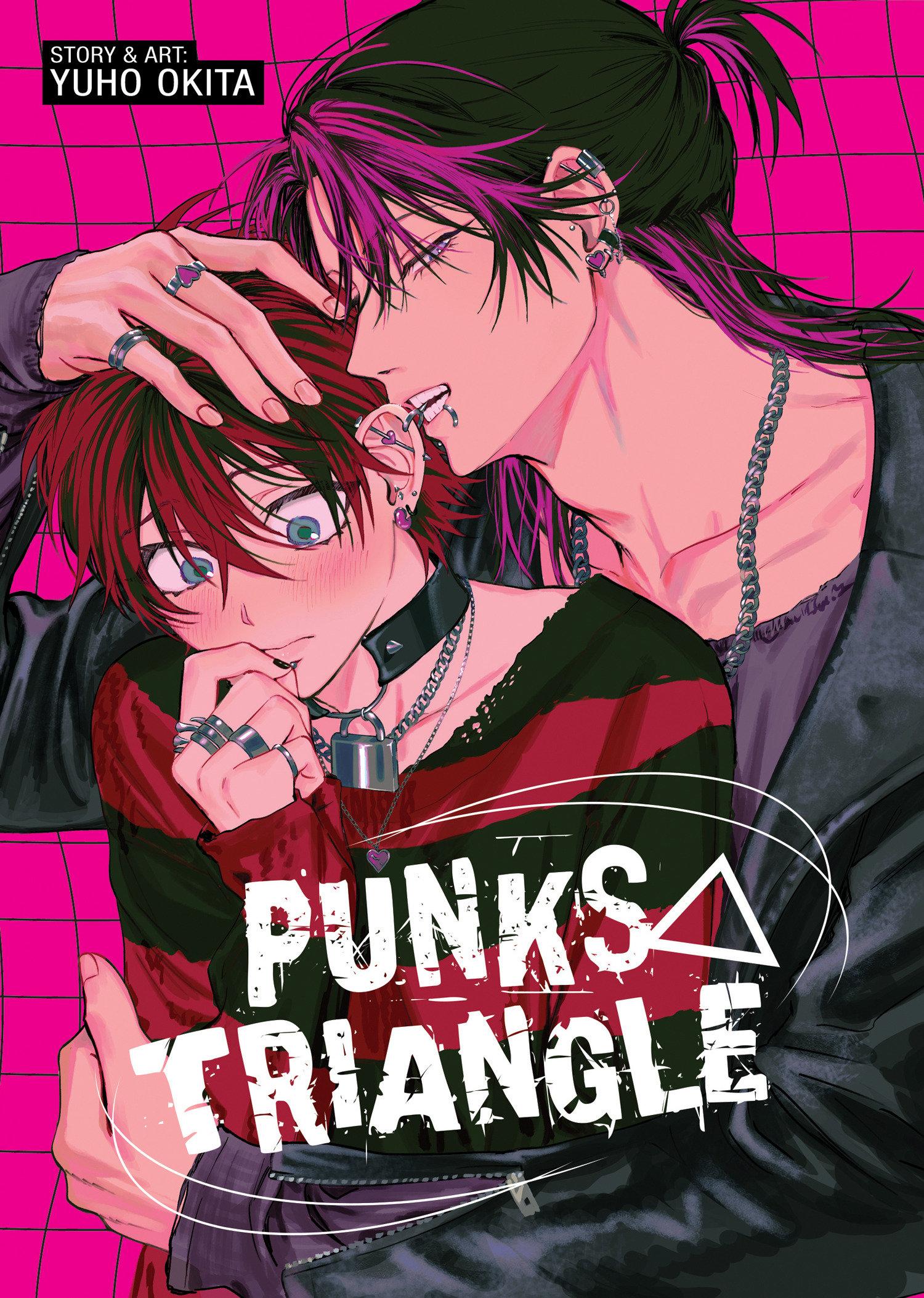 Vorderes Coverbild PUNKS TRIANGLE