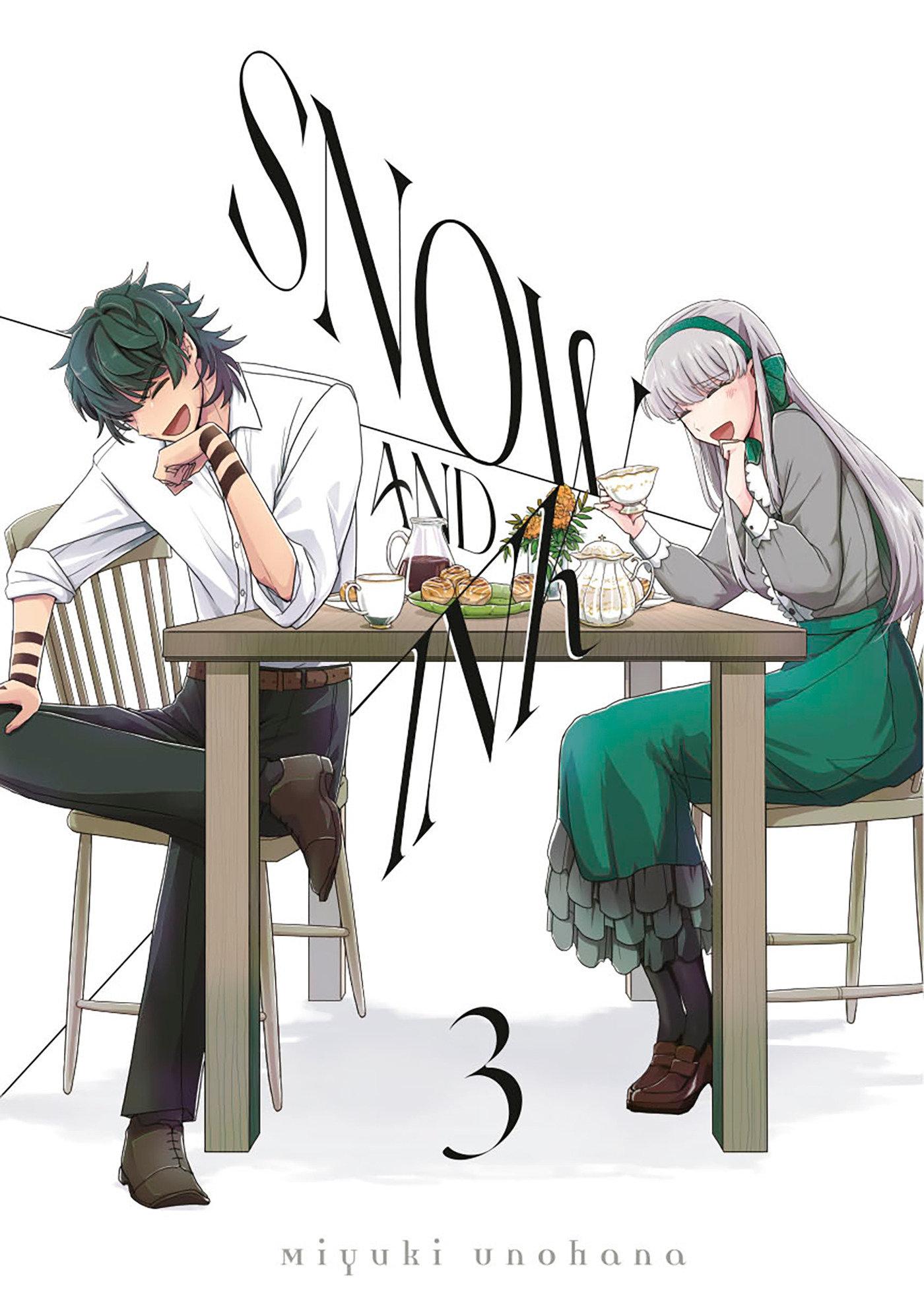 Vorderes Coverbild Snow & Ink 3