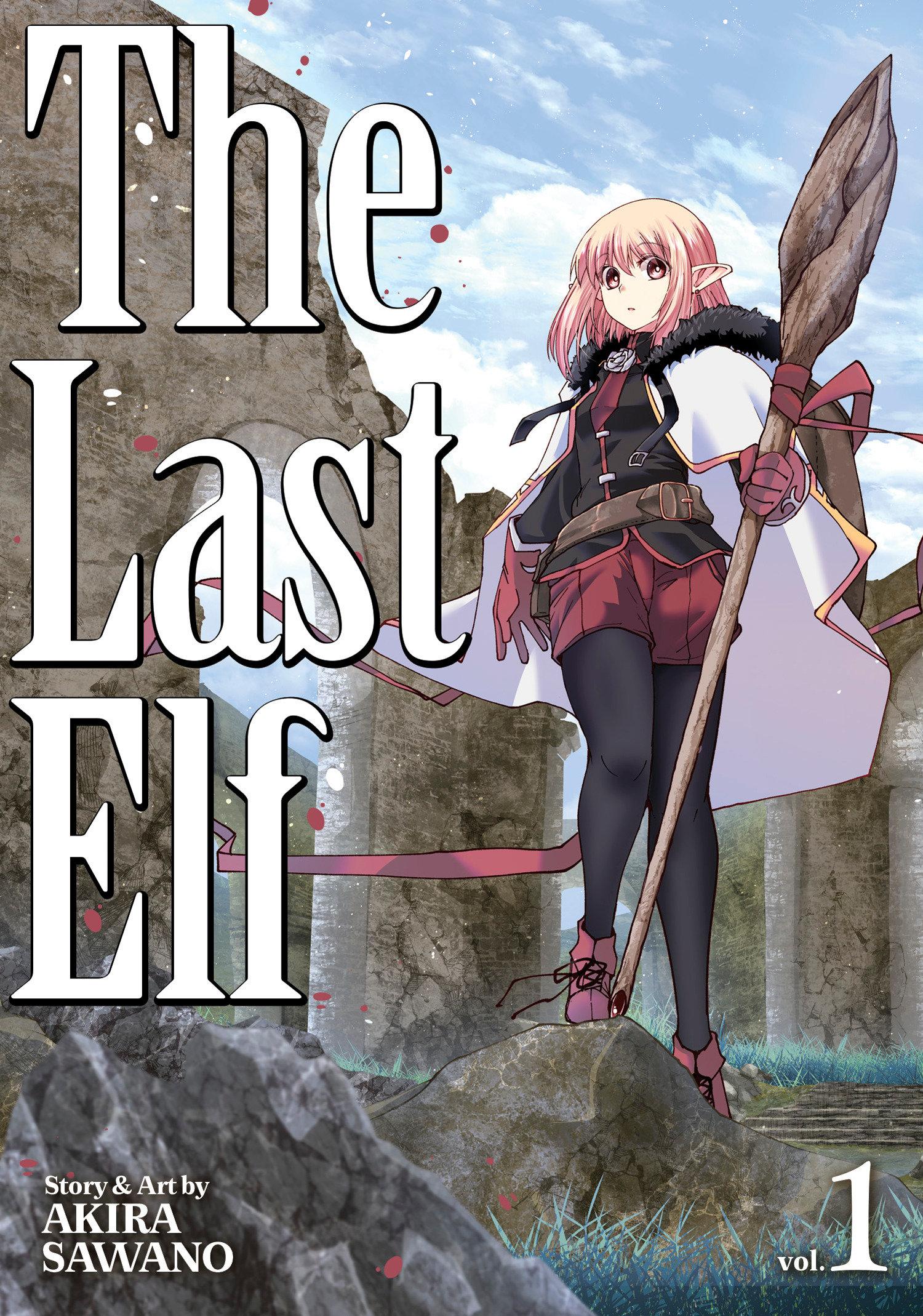 Vorderes Coverbild The Last Elf Vol. 1