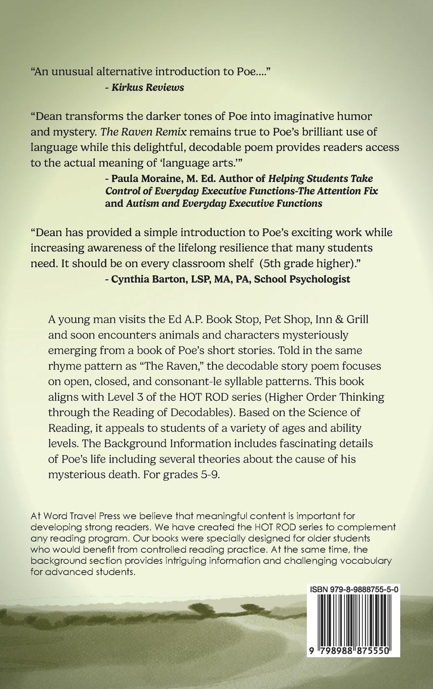 Rückseitencover The Raven Remix