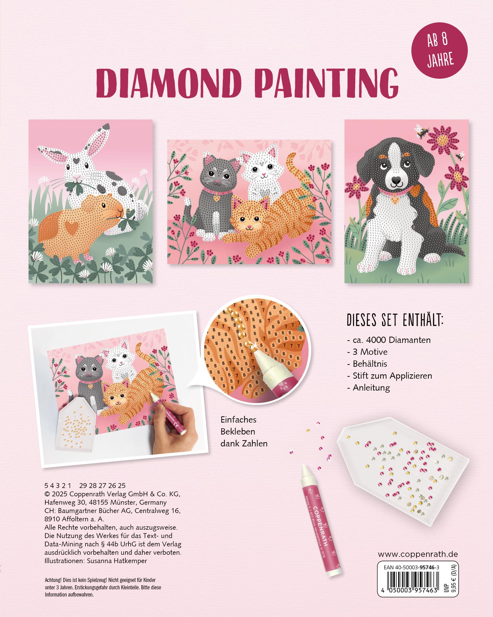 Rückseitencover Diamond Painting