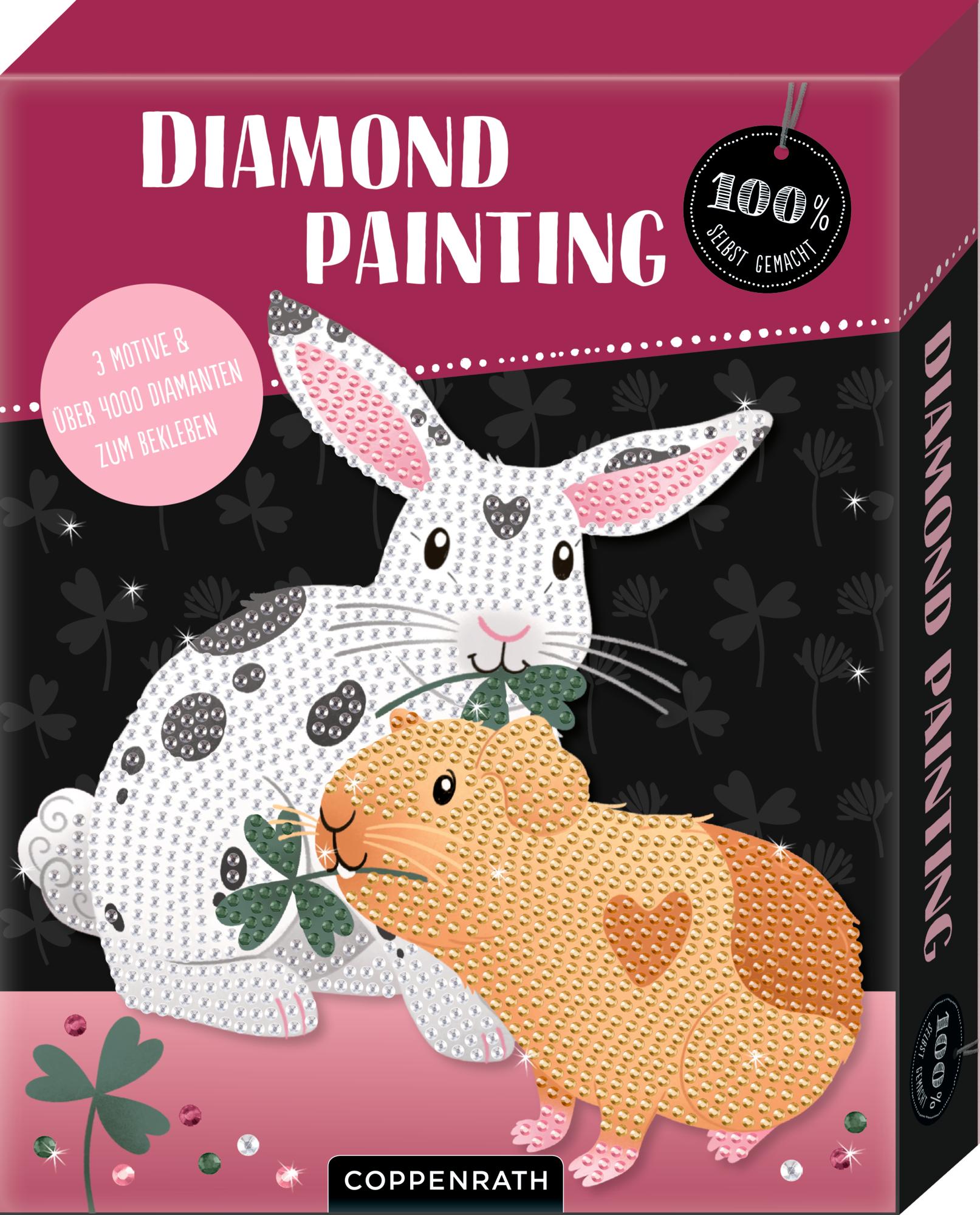 Vorderes Coverbild Diamond Painting
