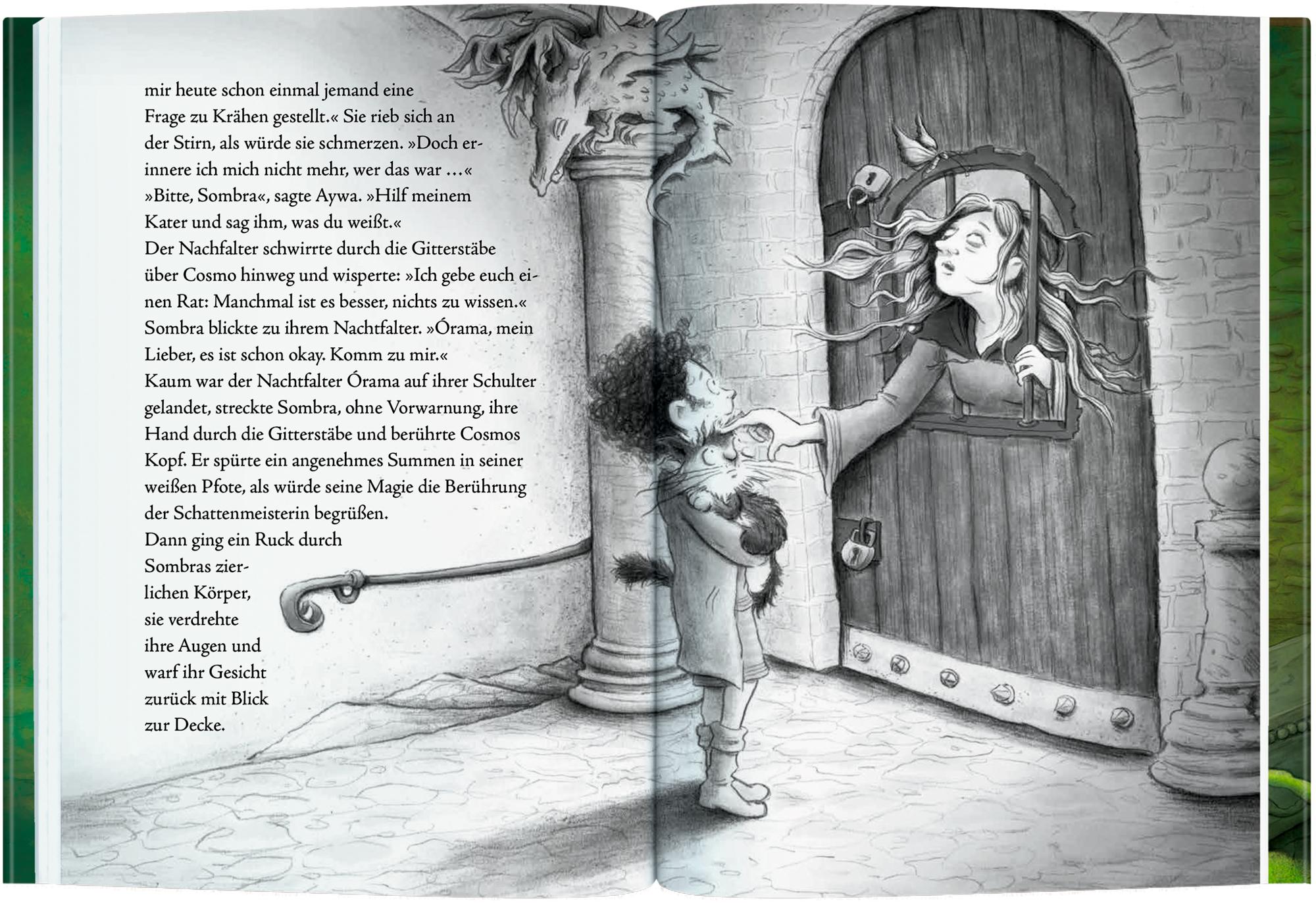 Beispielinhalt (Bild) Cosmo Zauberkater (Bd. 3)