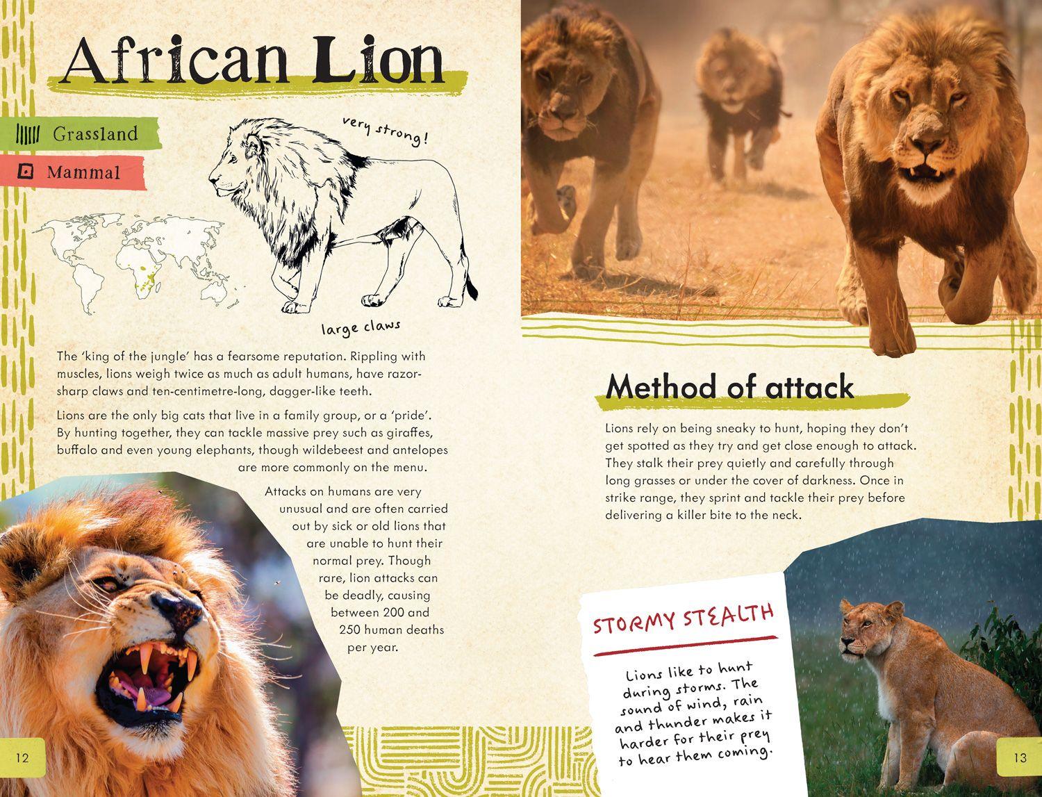 Beispielinhalt (Bild) Dangerous Animals Survival Guide