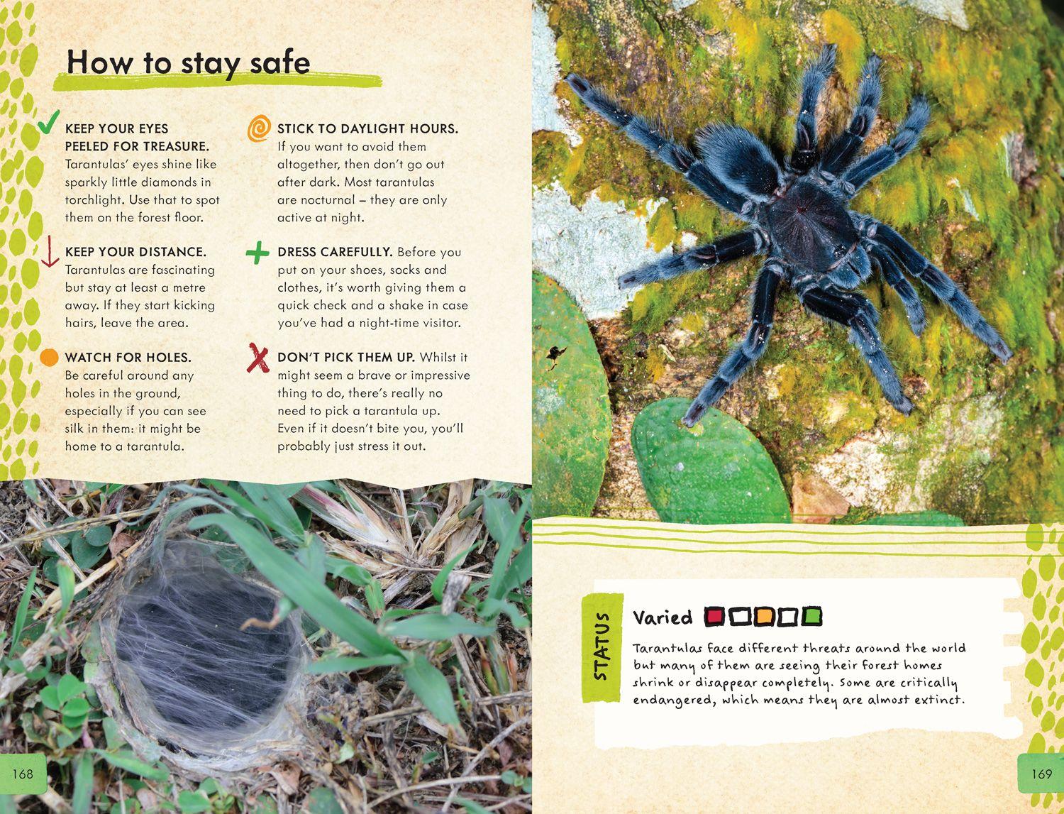 Beispielinhalt (Bild) Dangerous Animals Survival Guide