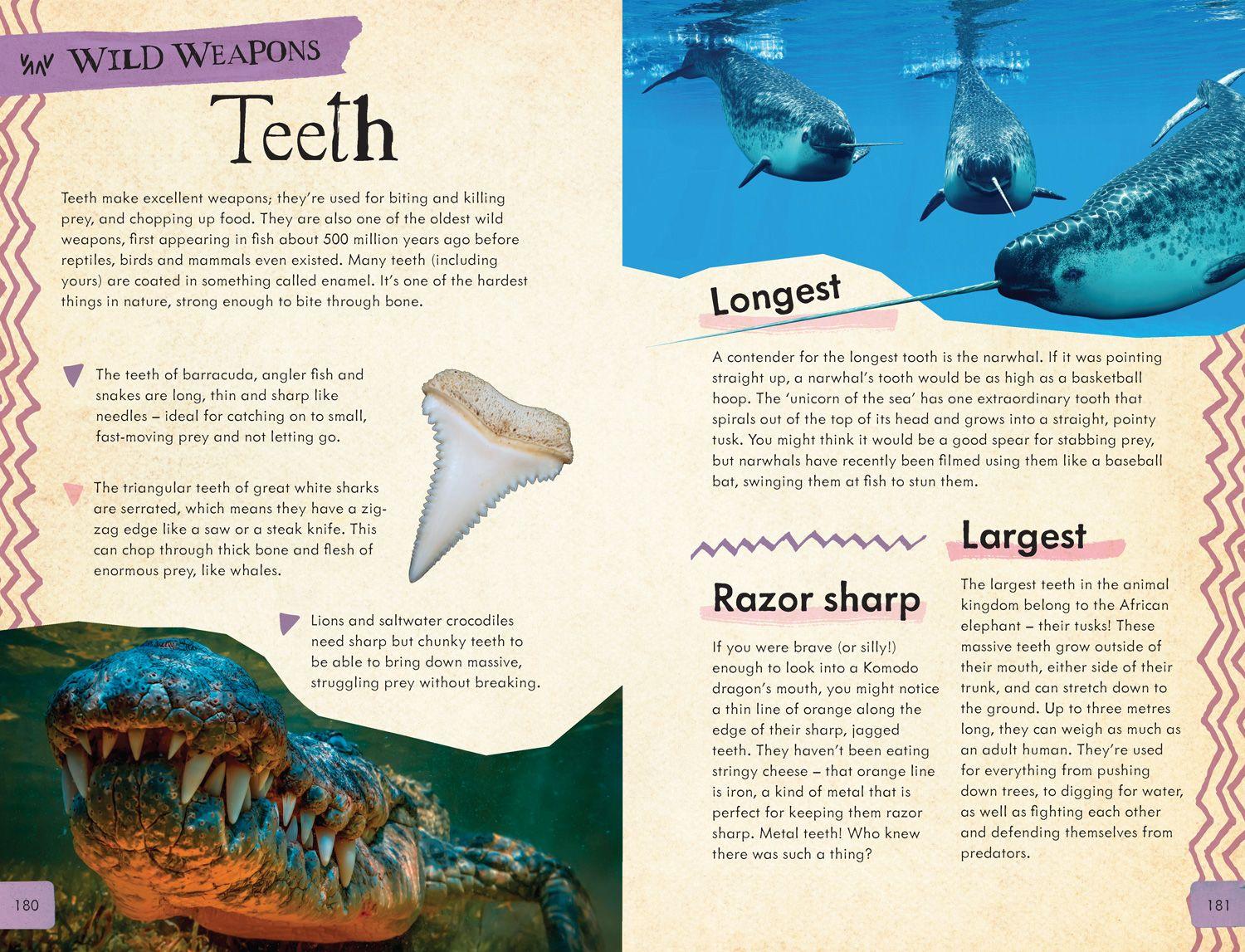 Beispielinhalt (Bild) Dangerous Animals Survival Guide