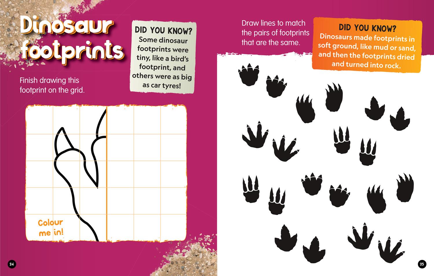 Beispielinhalt (Bild) First Dinosaurs Activity and Colouring Book