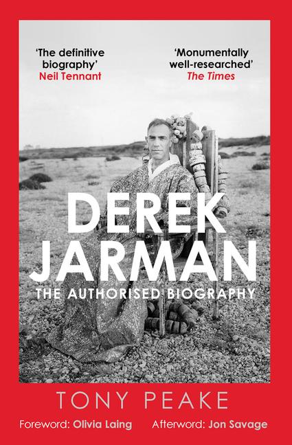 Vorderes Coverbild Derek Jarman: The Authorised Biography