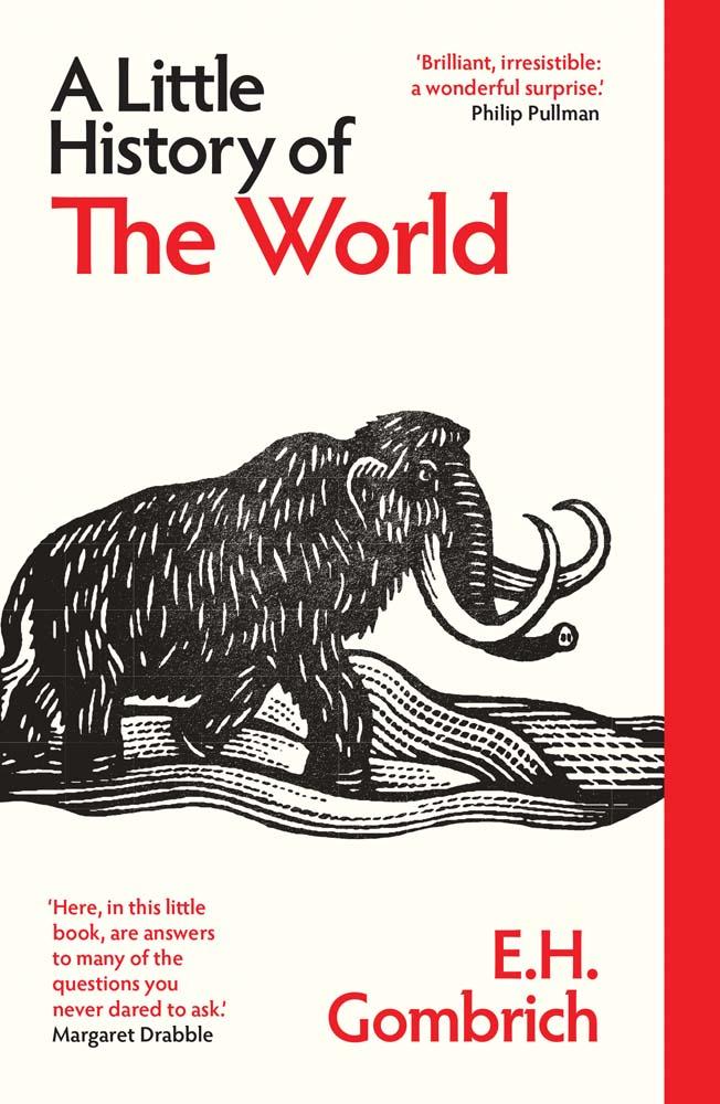 Vorderes Coverbild A Little History of the World