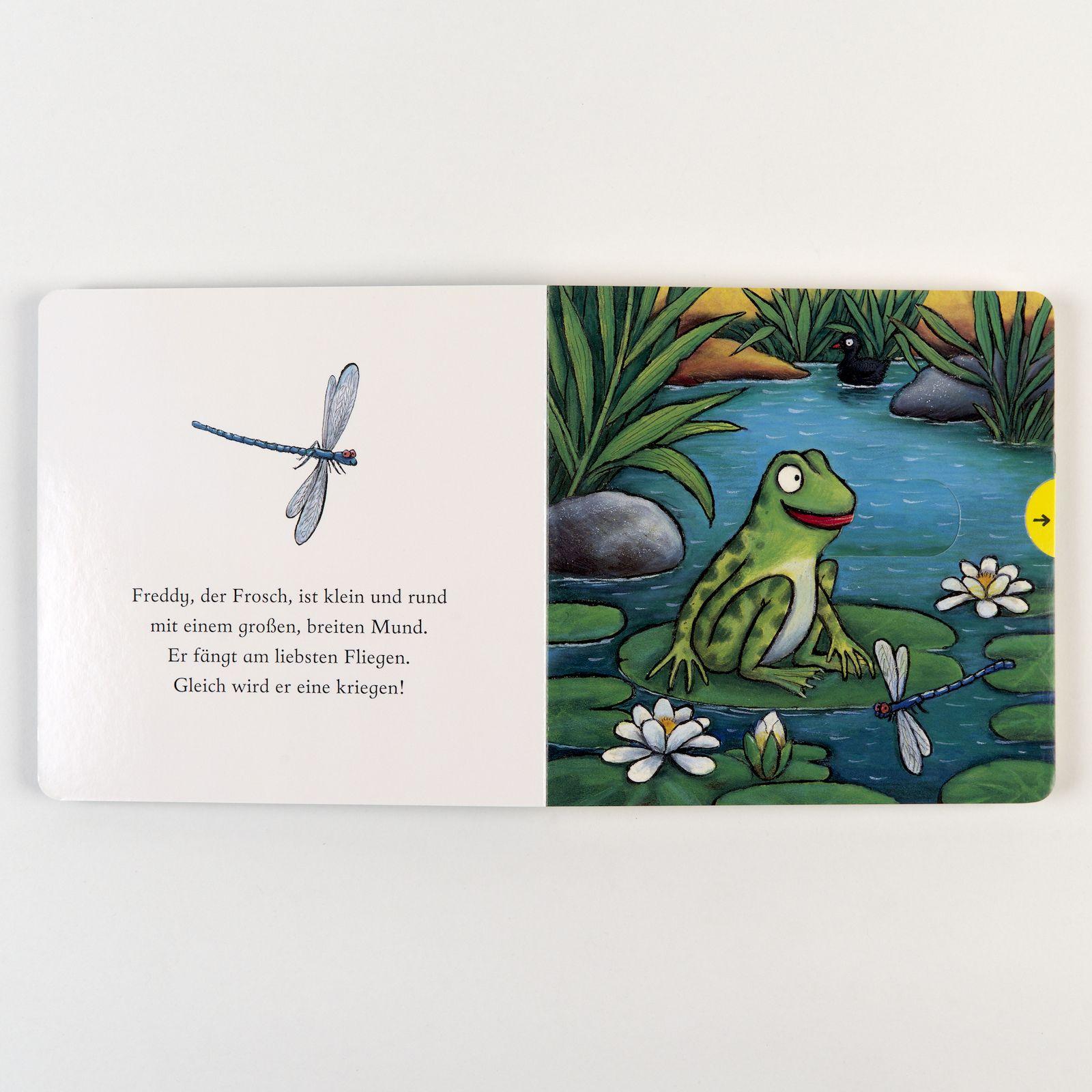 Beispielinhalt (Bild) Freddy, der Frosch