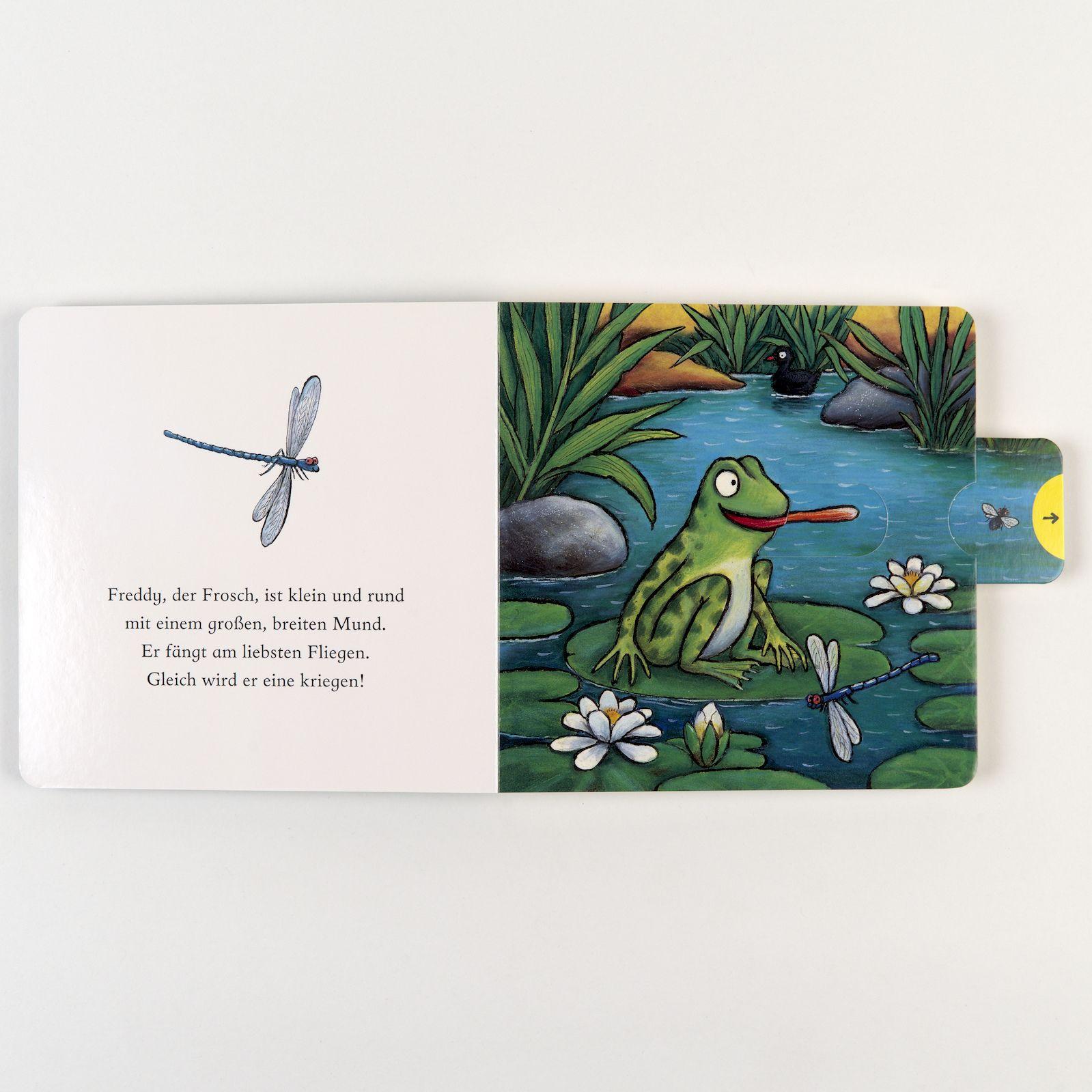 Beispielinhalt (Bild) Freddy, der Frosch