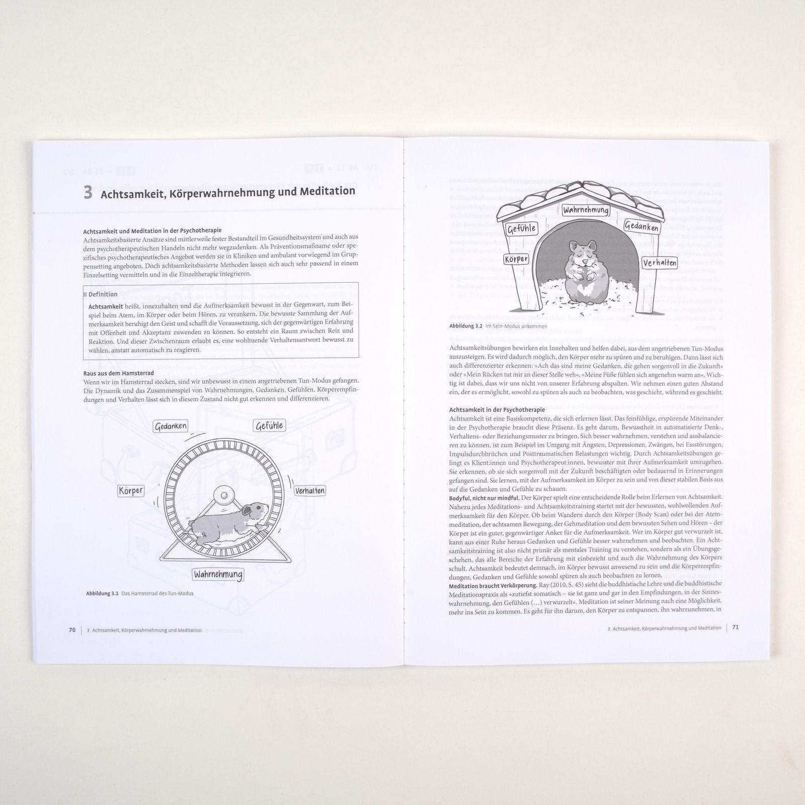 Beispielinhalt (Bild) Therapie-Tools Körperorientierte Interventionen