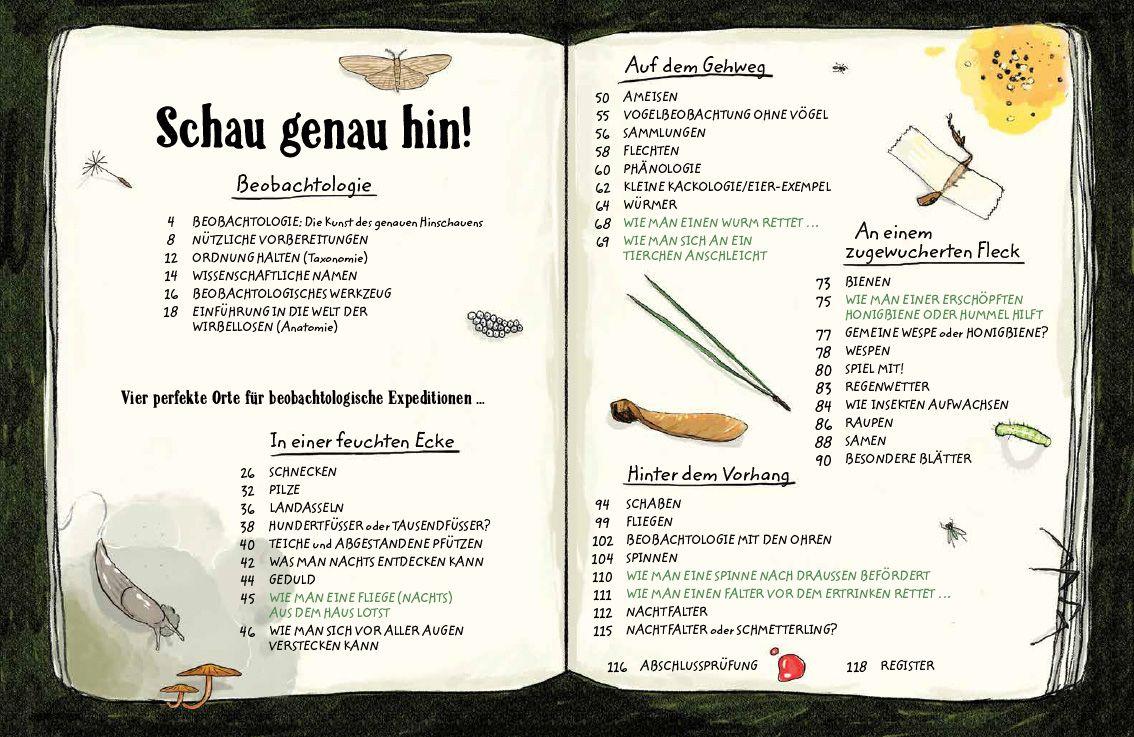 Beispielinhalt (Bild) Schau genau hin!