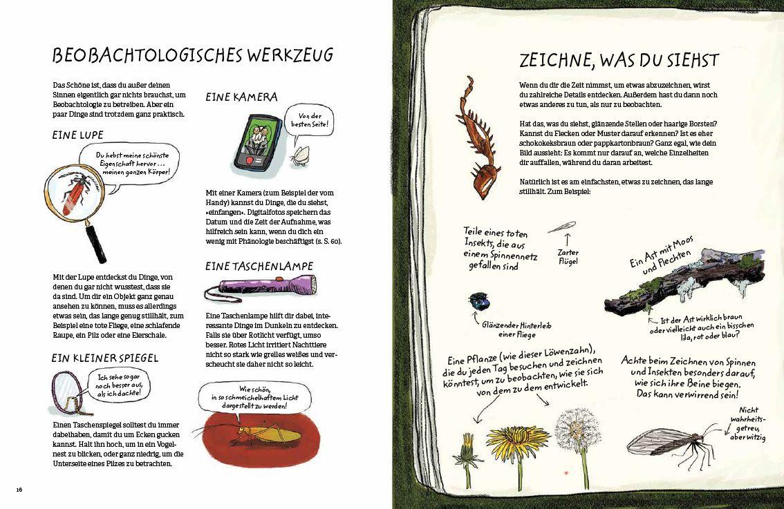 Beispielinhalt (Bild) Schau genau hin!