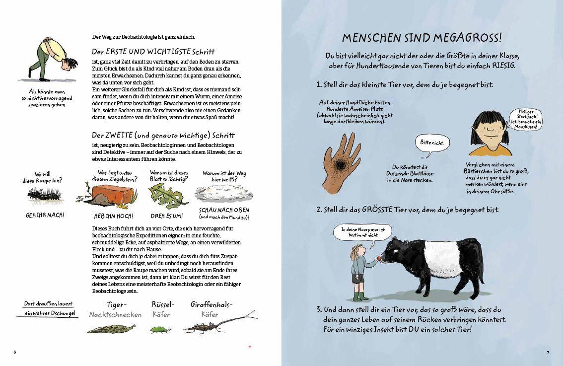 Beispielinhalt (Bild) Schau genau hin!