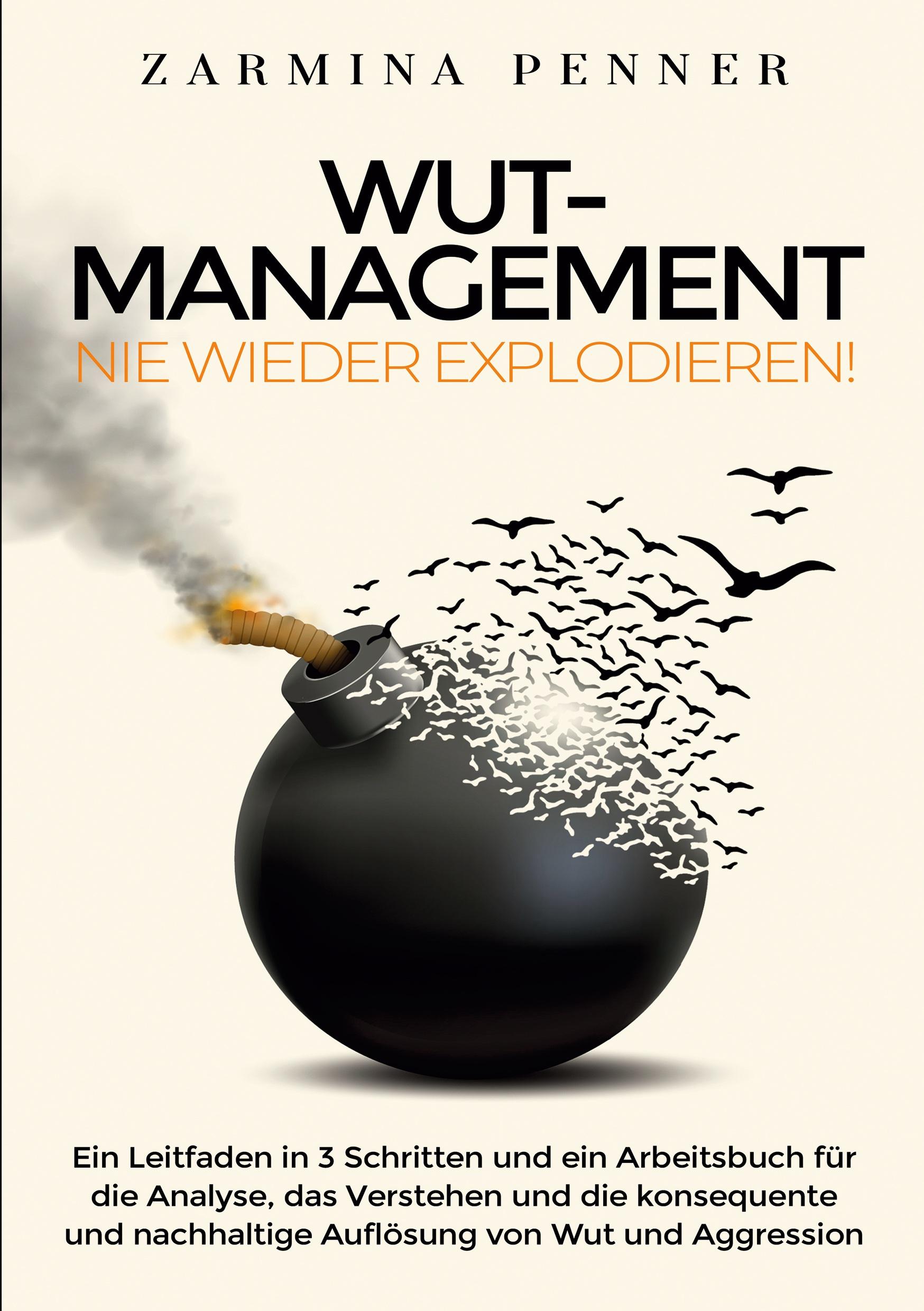 Vorderes Coverbild Wut Management - Nie wieder explodieren!