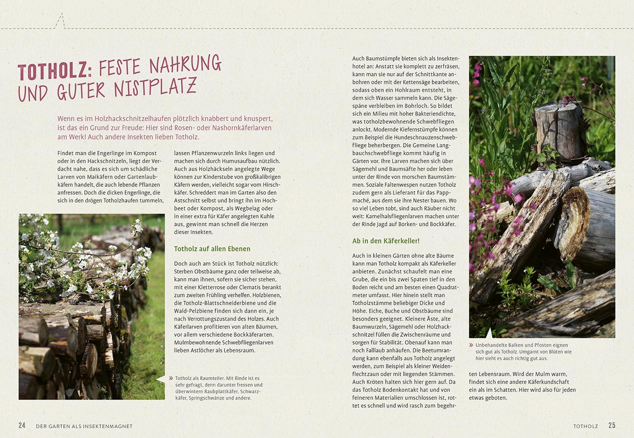 Beispielinhalt (Bild) Richtig gute Pflanzen für Insekten